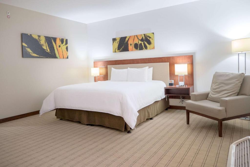 Double King Size Bed