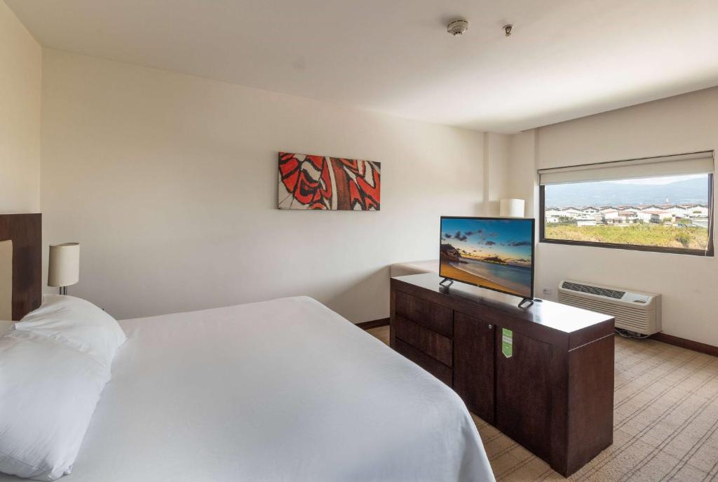 Junior Suite King Size Bed