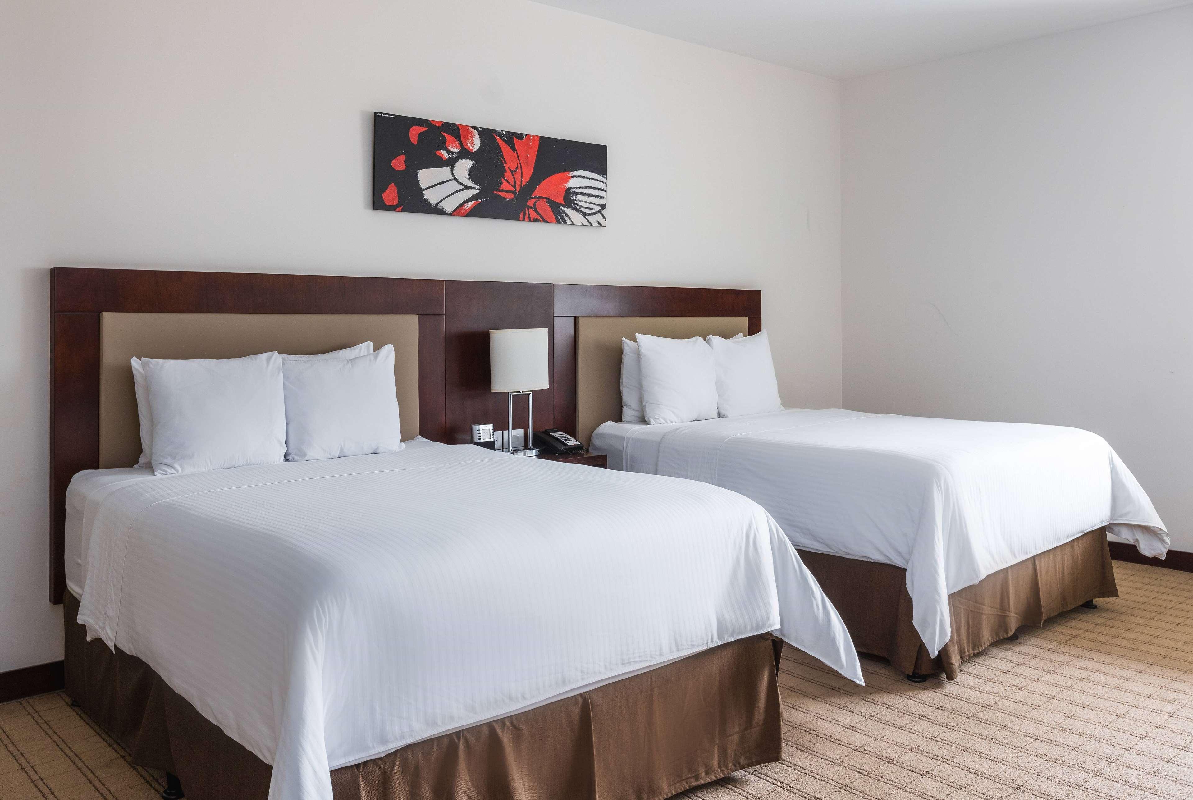 Quadruple Two Queen Beds