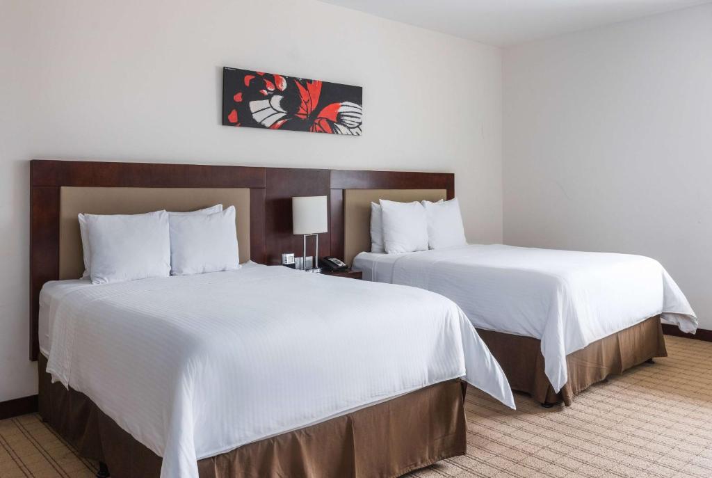 Double Two Queen Beds