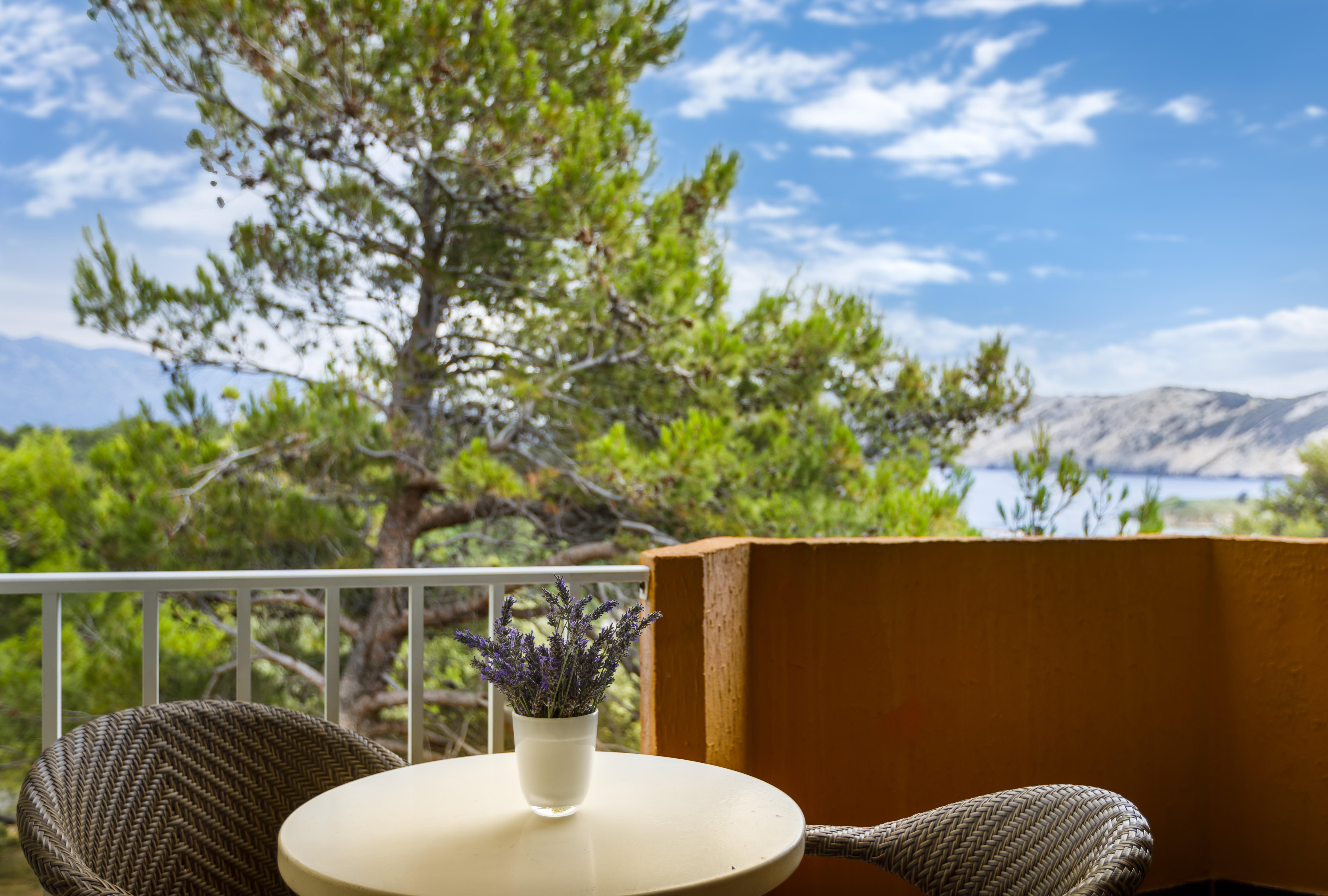 Triple Superior with Balcony