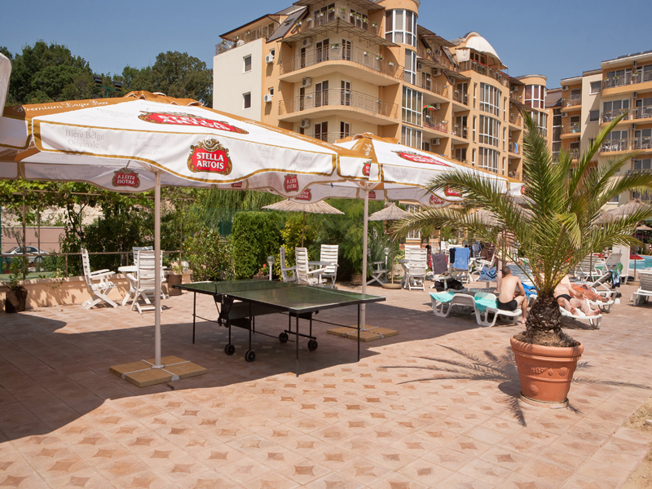 Sports and Entertainment