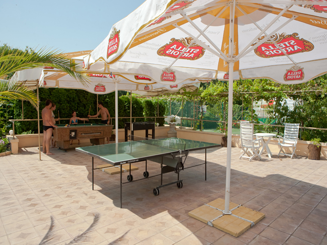 Sports and Entertainment