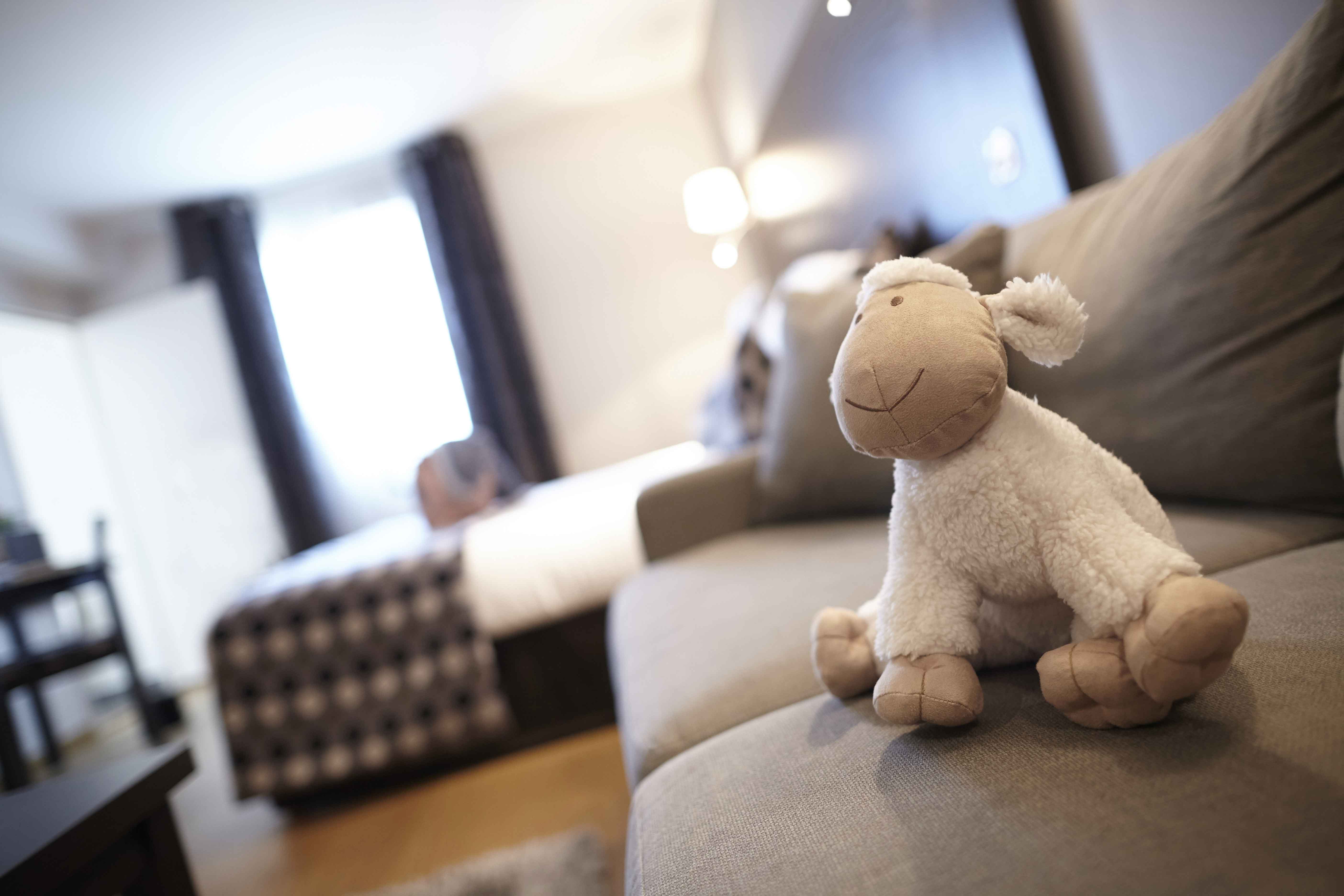 Family Room Standard