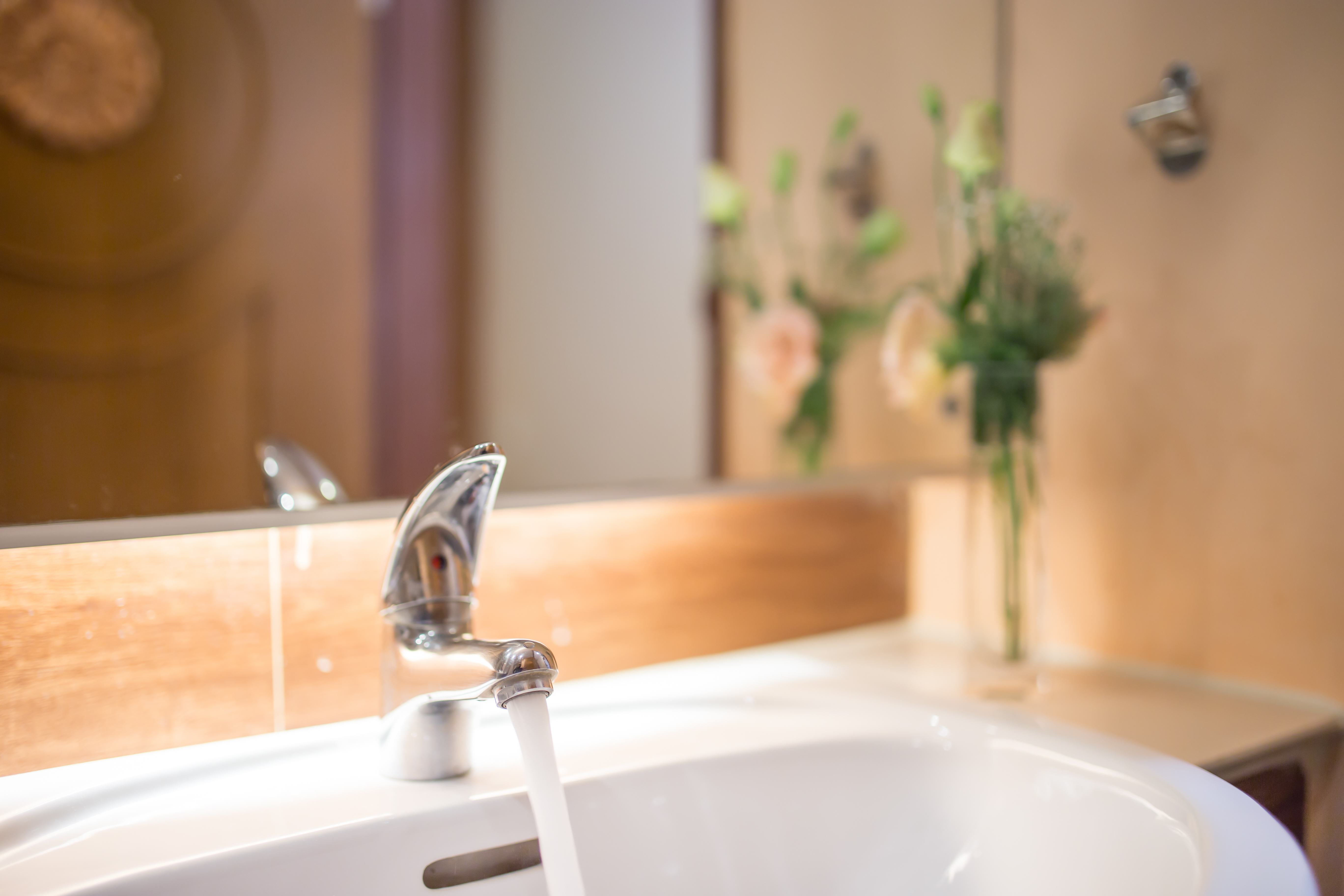 Double or Twin Superior