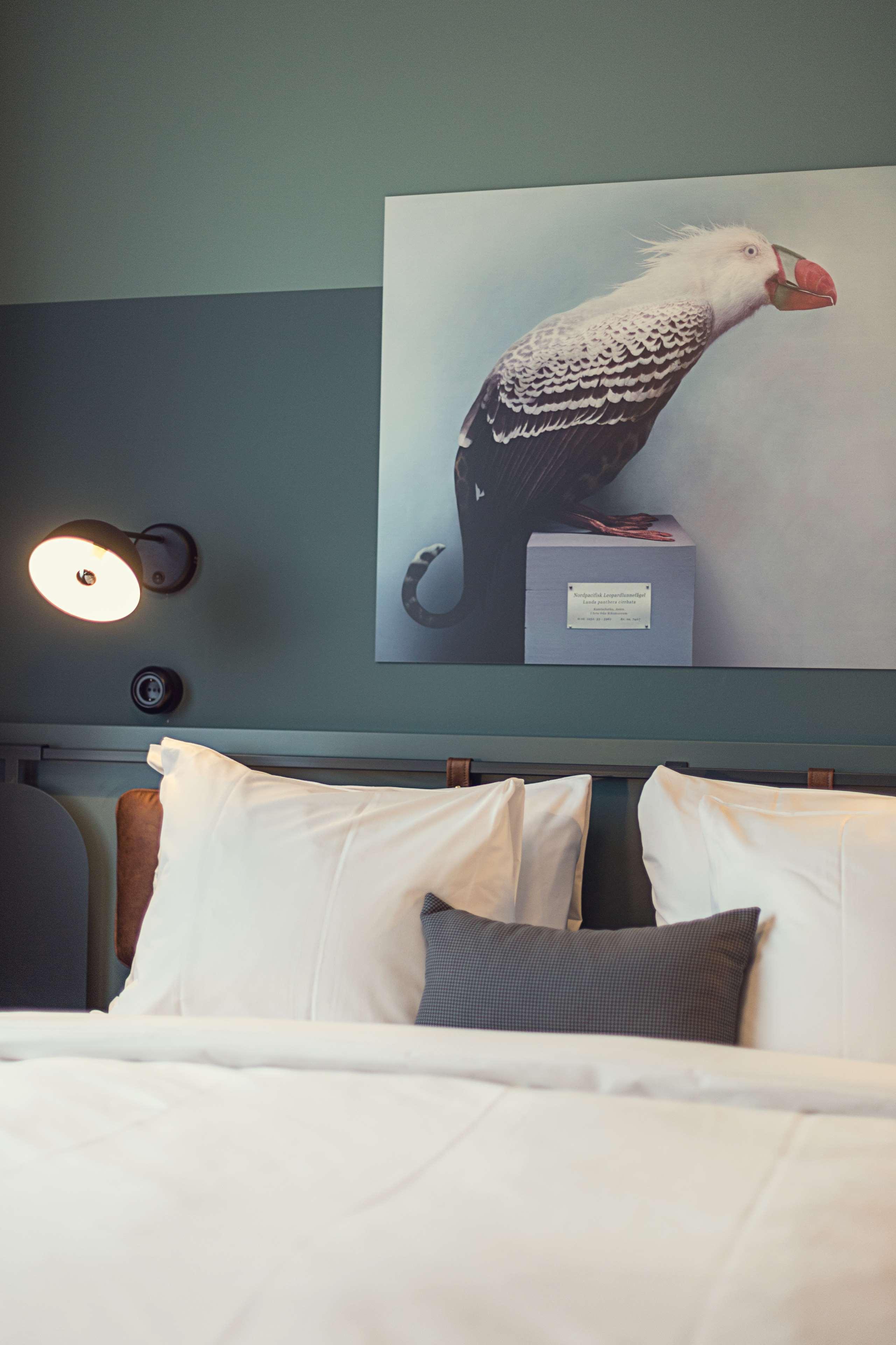 Double Superior King Bed