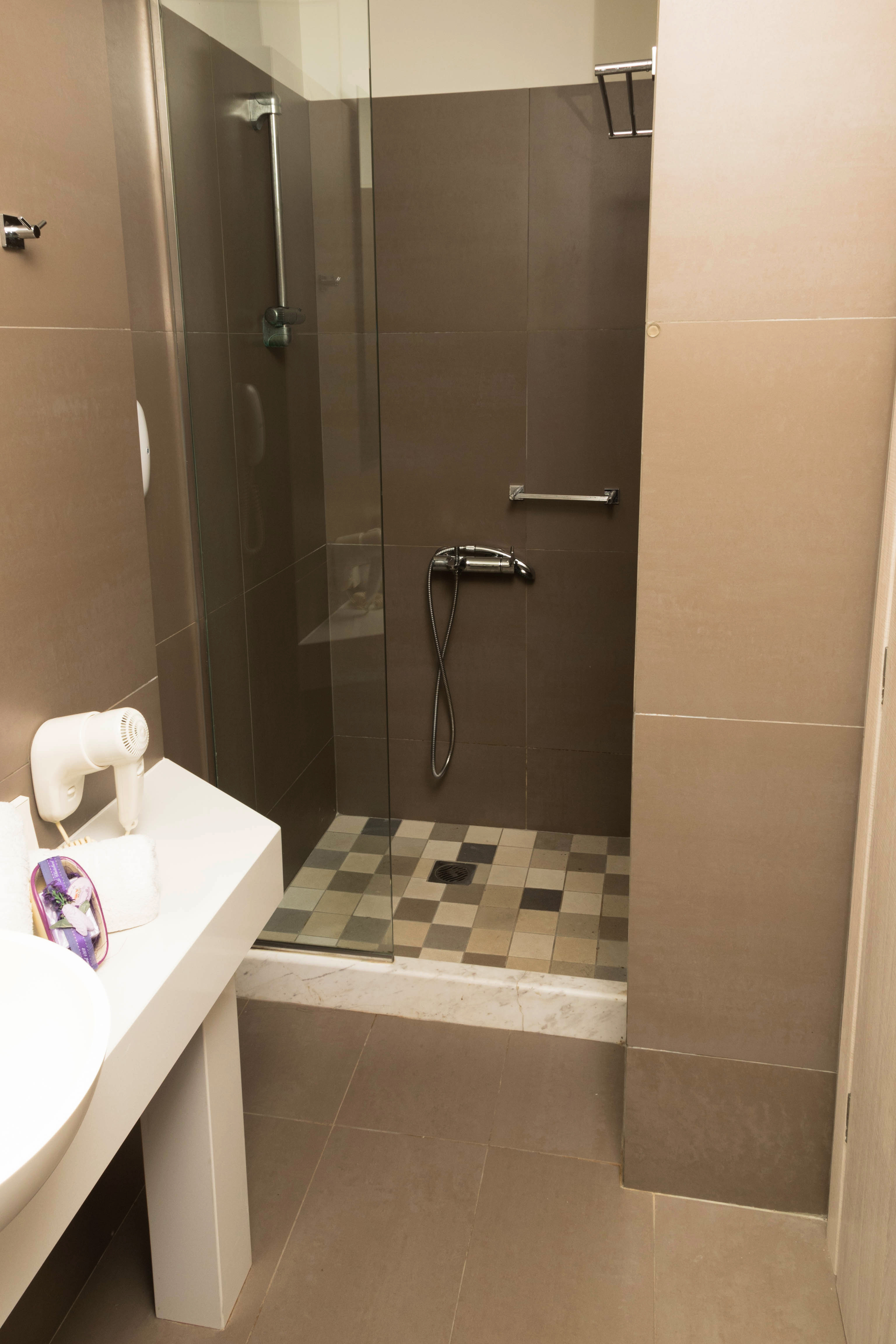 Double or Twin Economy