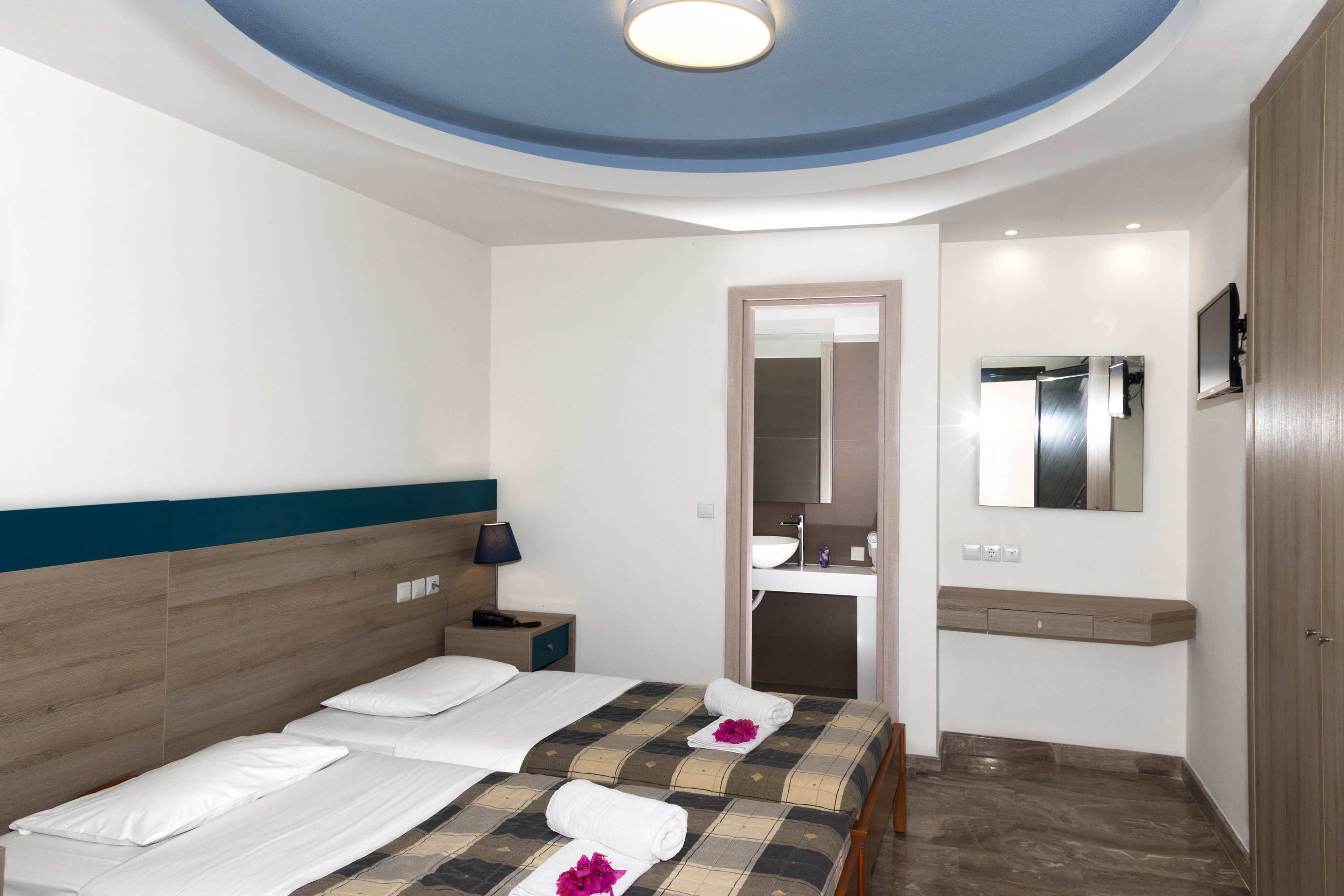 Double or Twin Economy