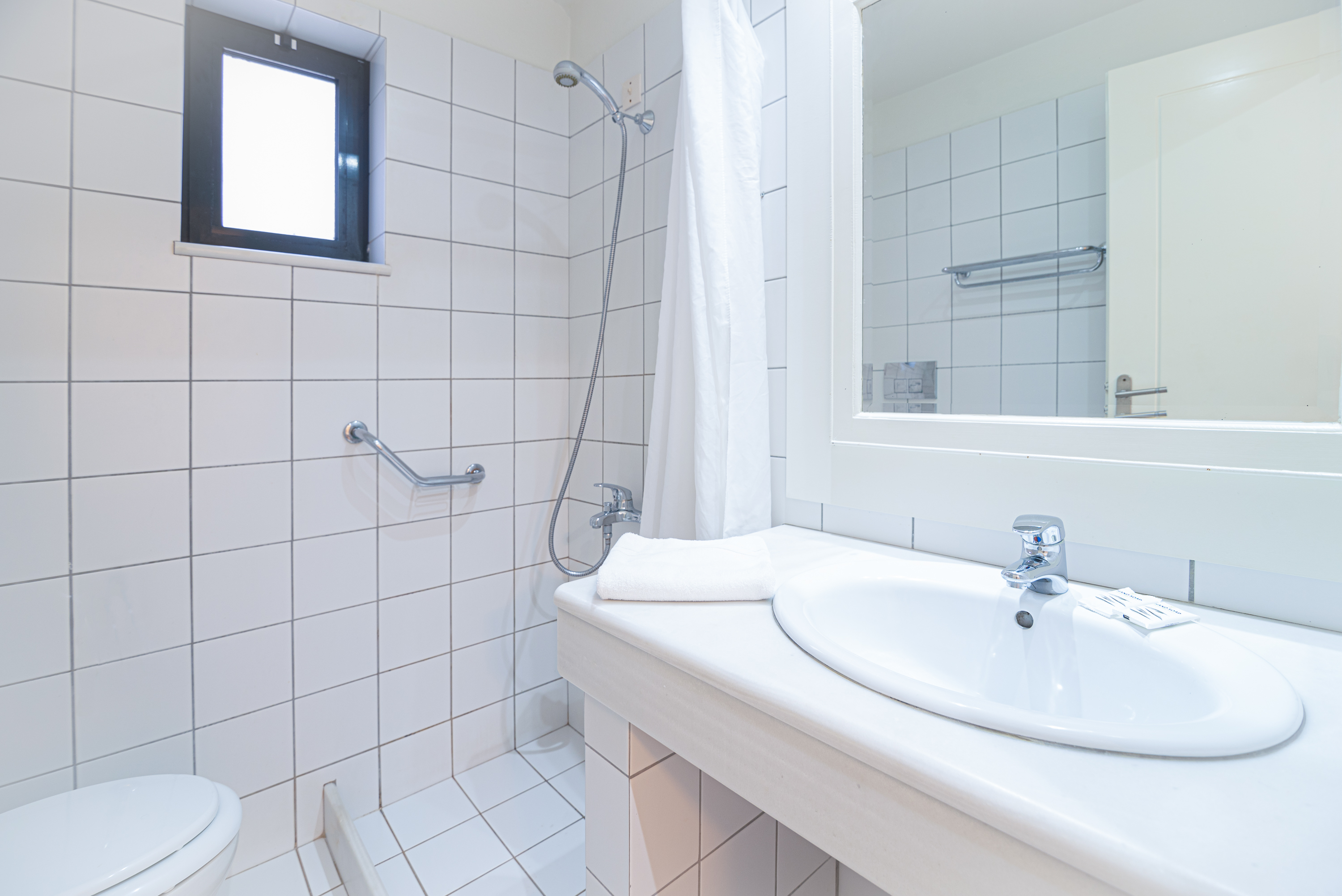 Double or Twin Economy