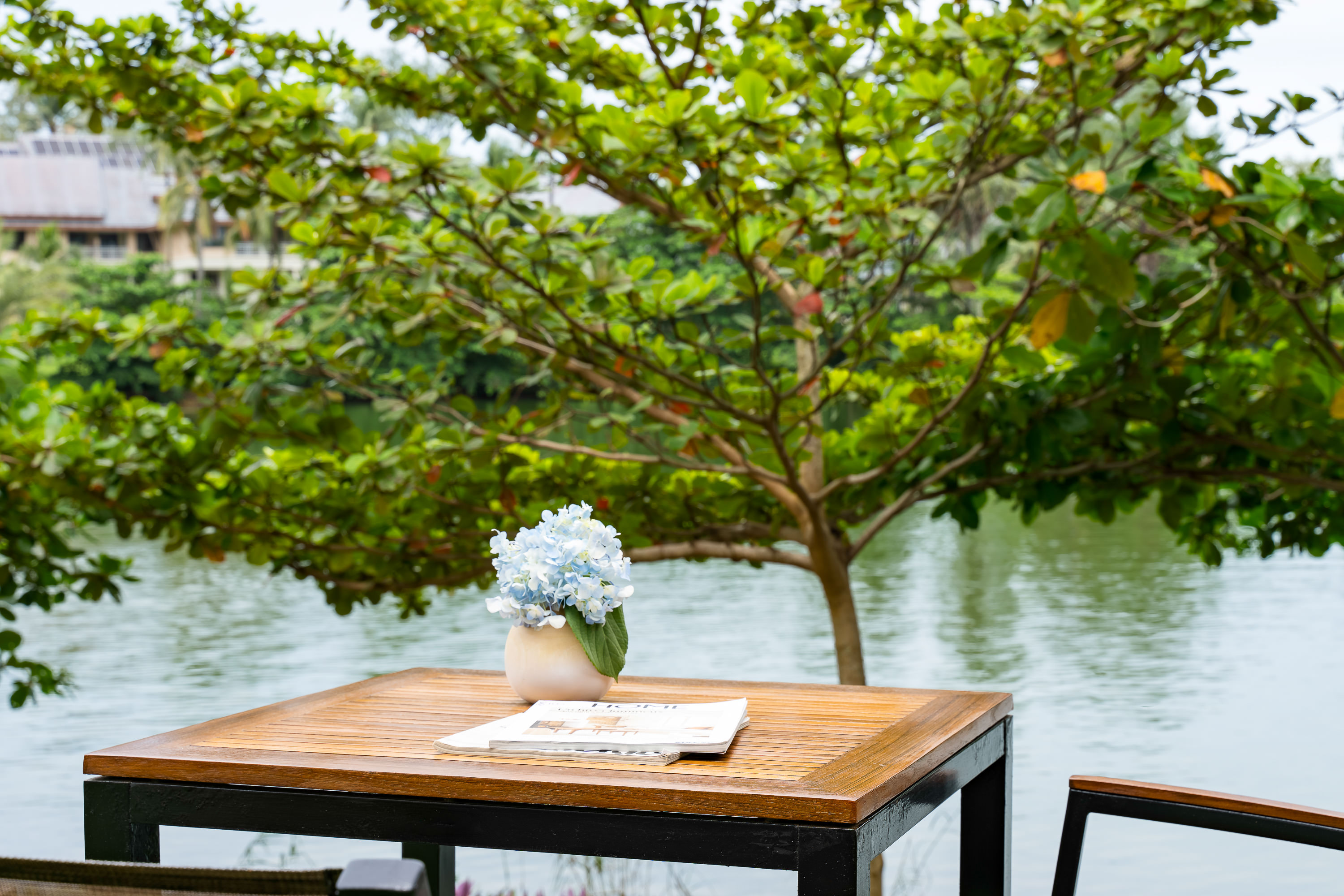 Twin with Terrace with Views