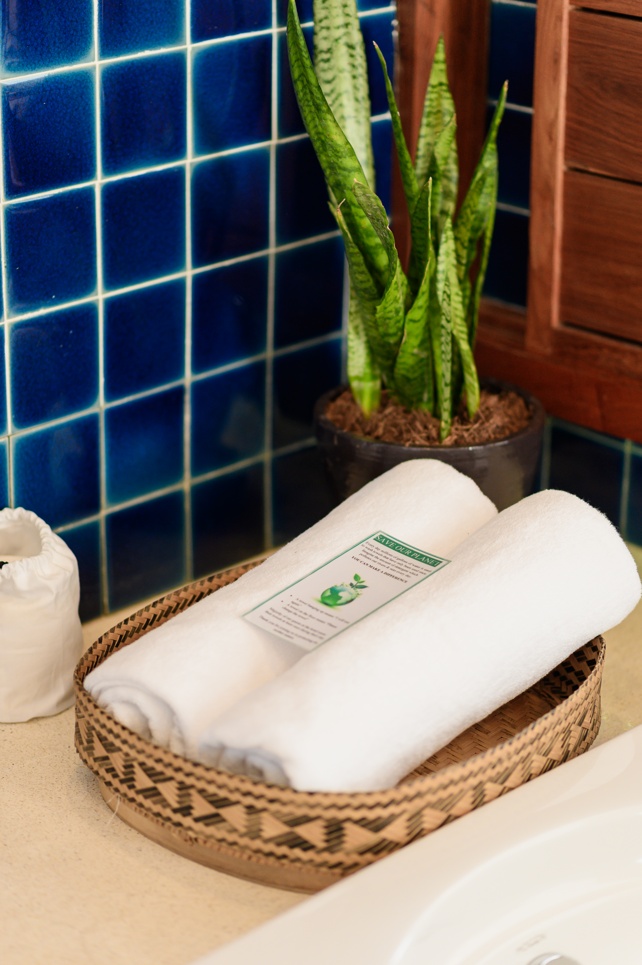 Double or Twin with Terrace