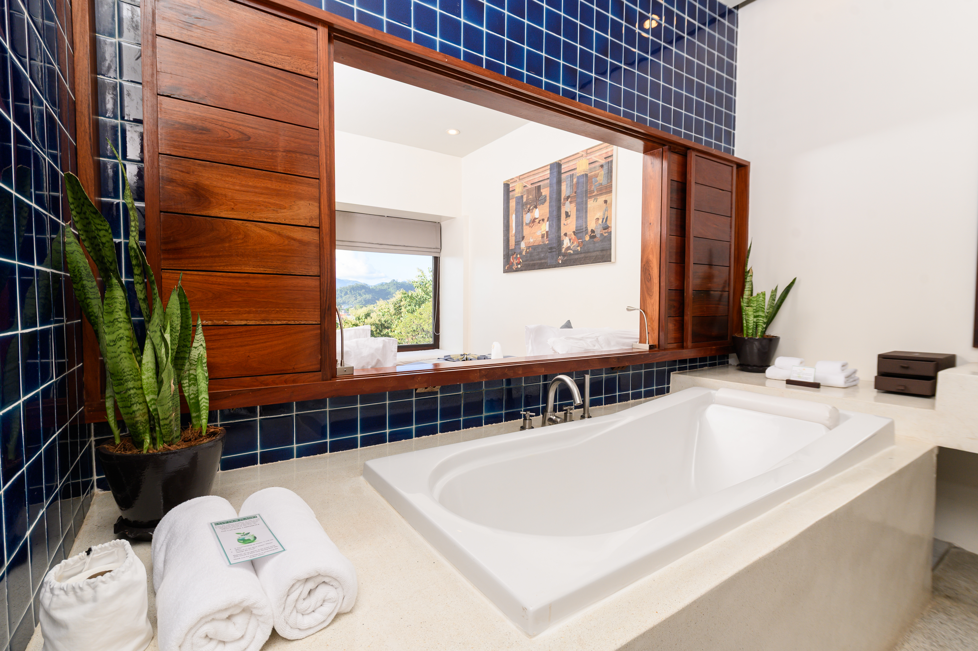 Double or Twin Superior