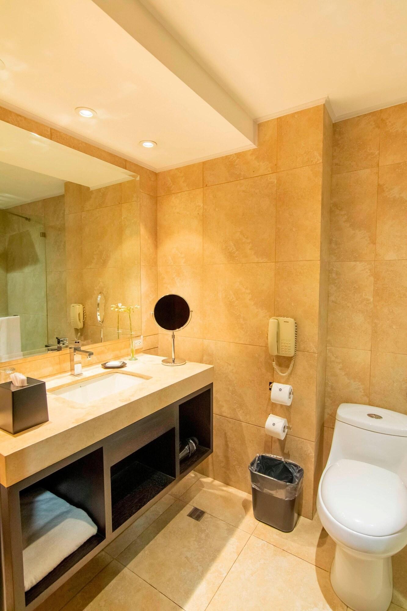 Suite Executive One Bedroom