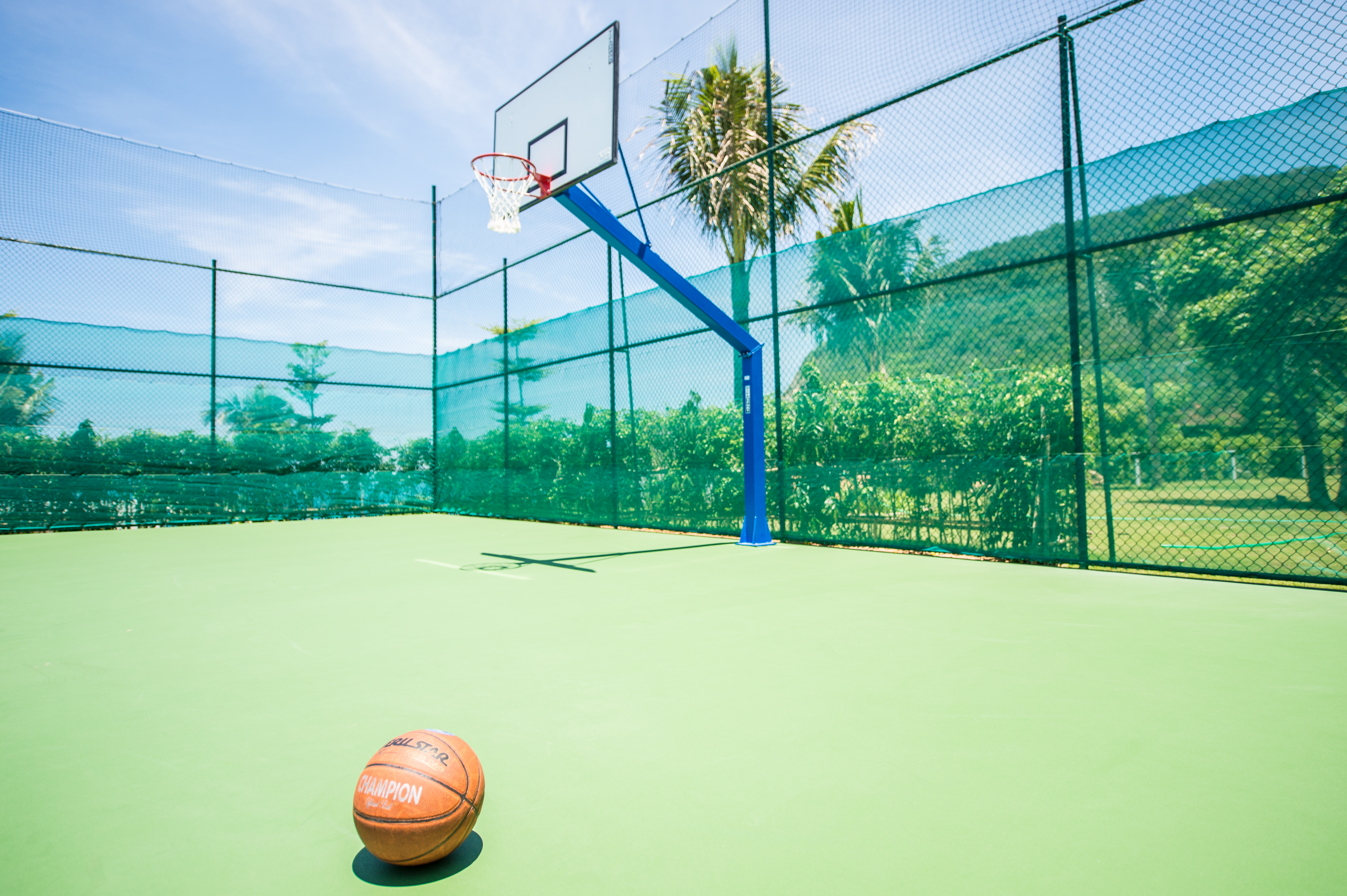 Sports and Entertainment