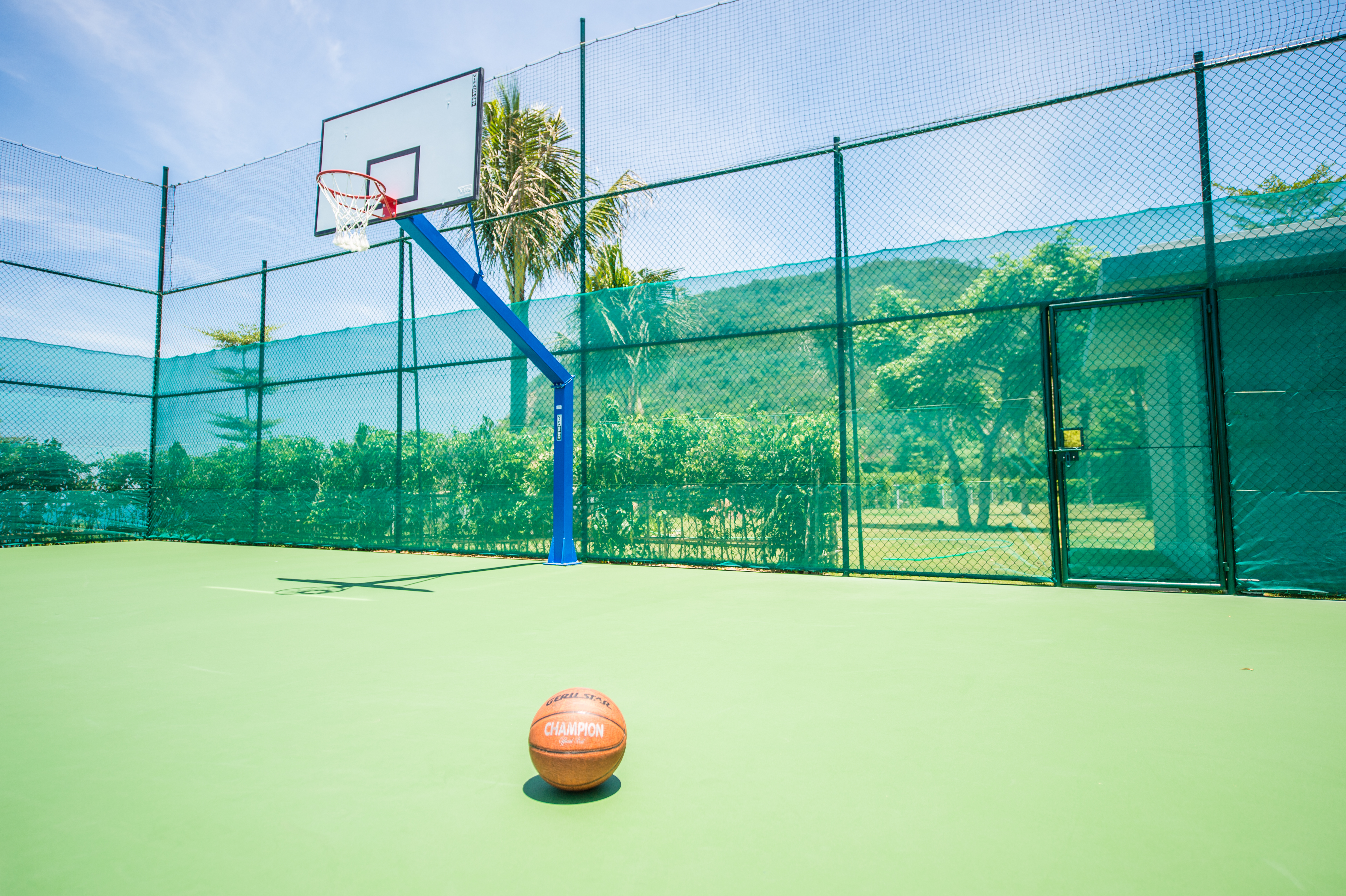 Sports and Entertainment