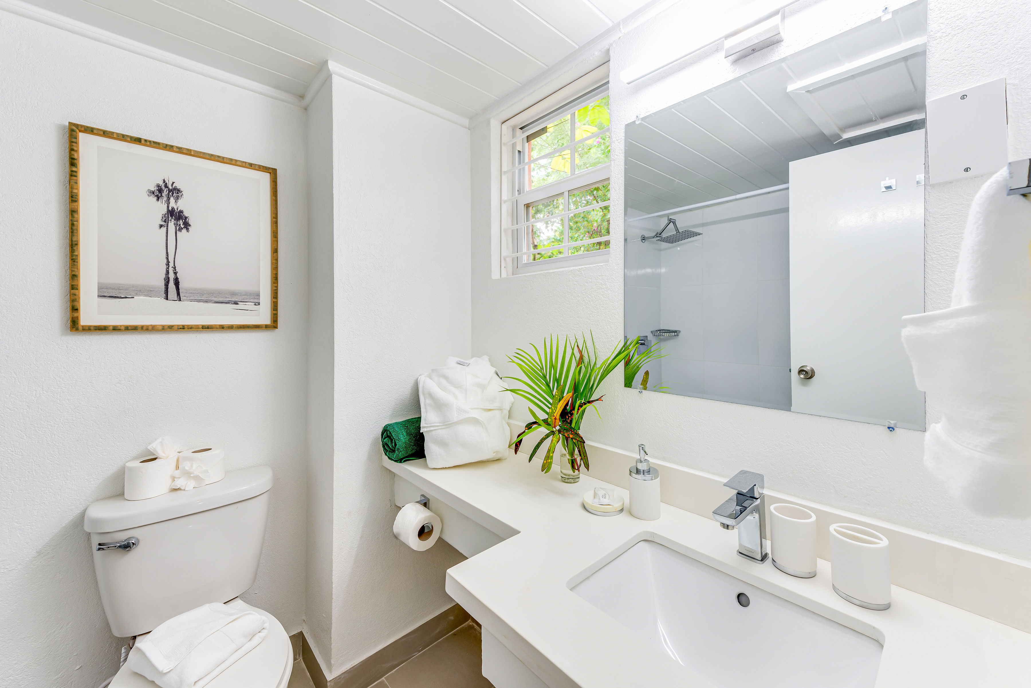 Apartment One Bedroom