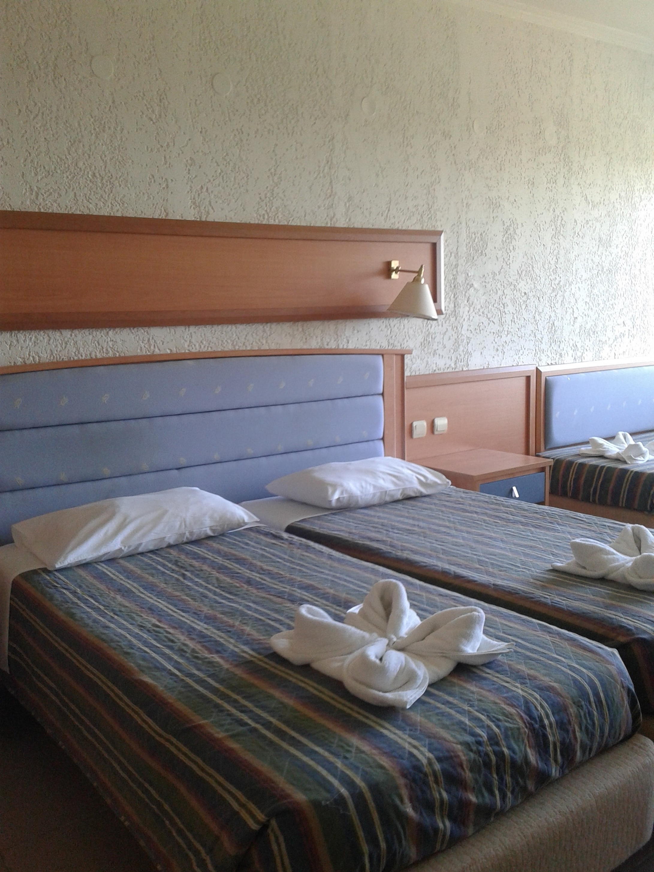 Double or Twin Standard