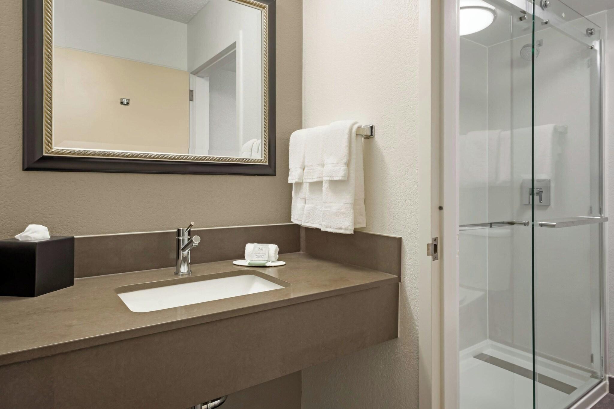 Suite Two Double Beds