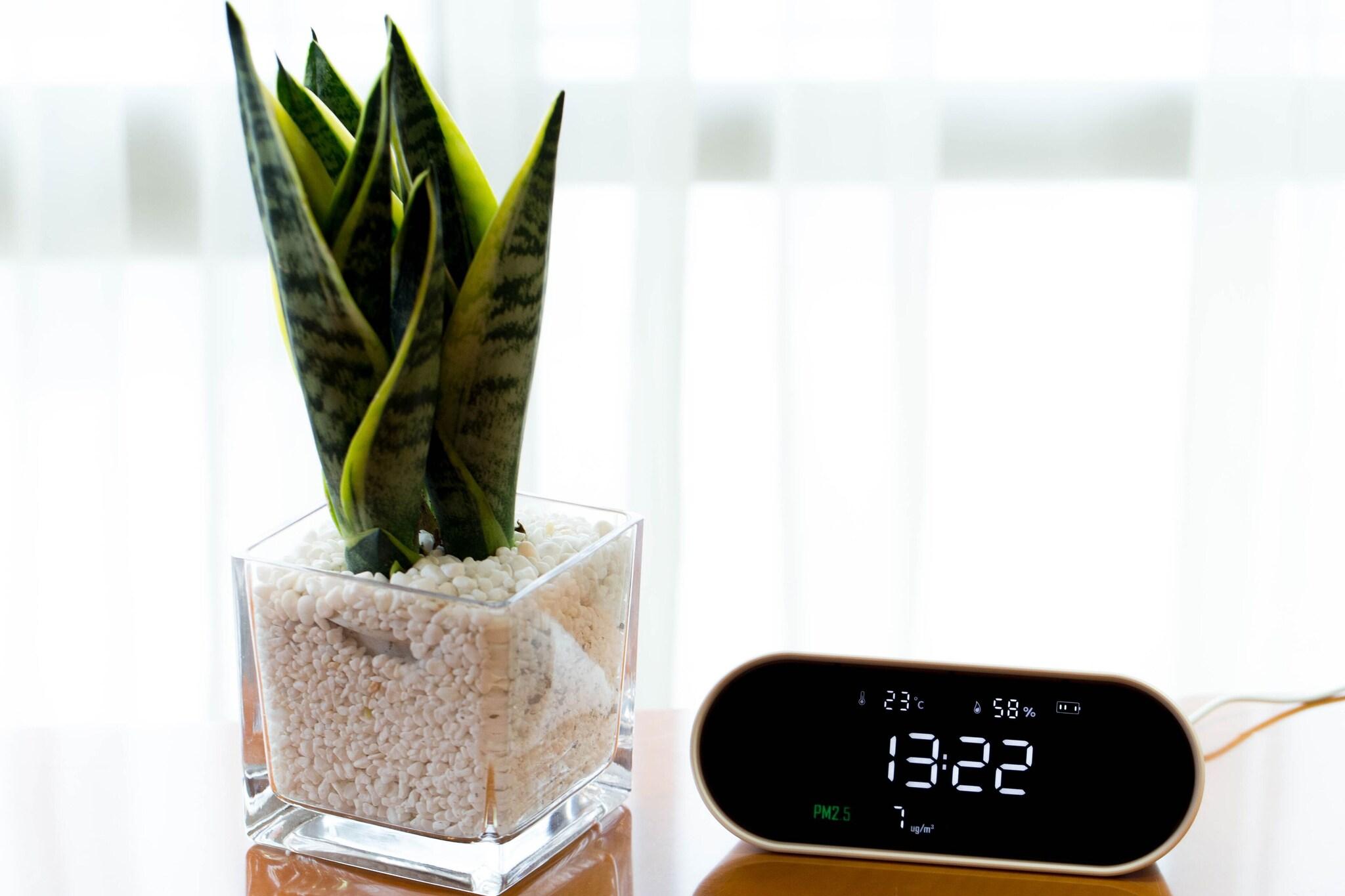 Twin Premier with Views