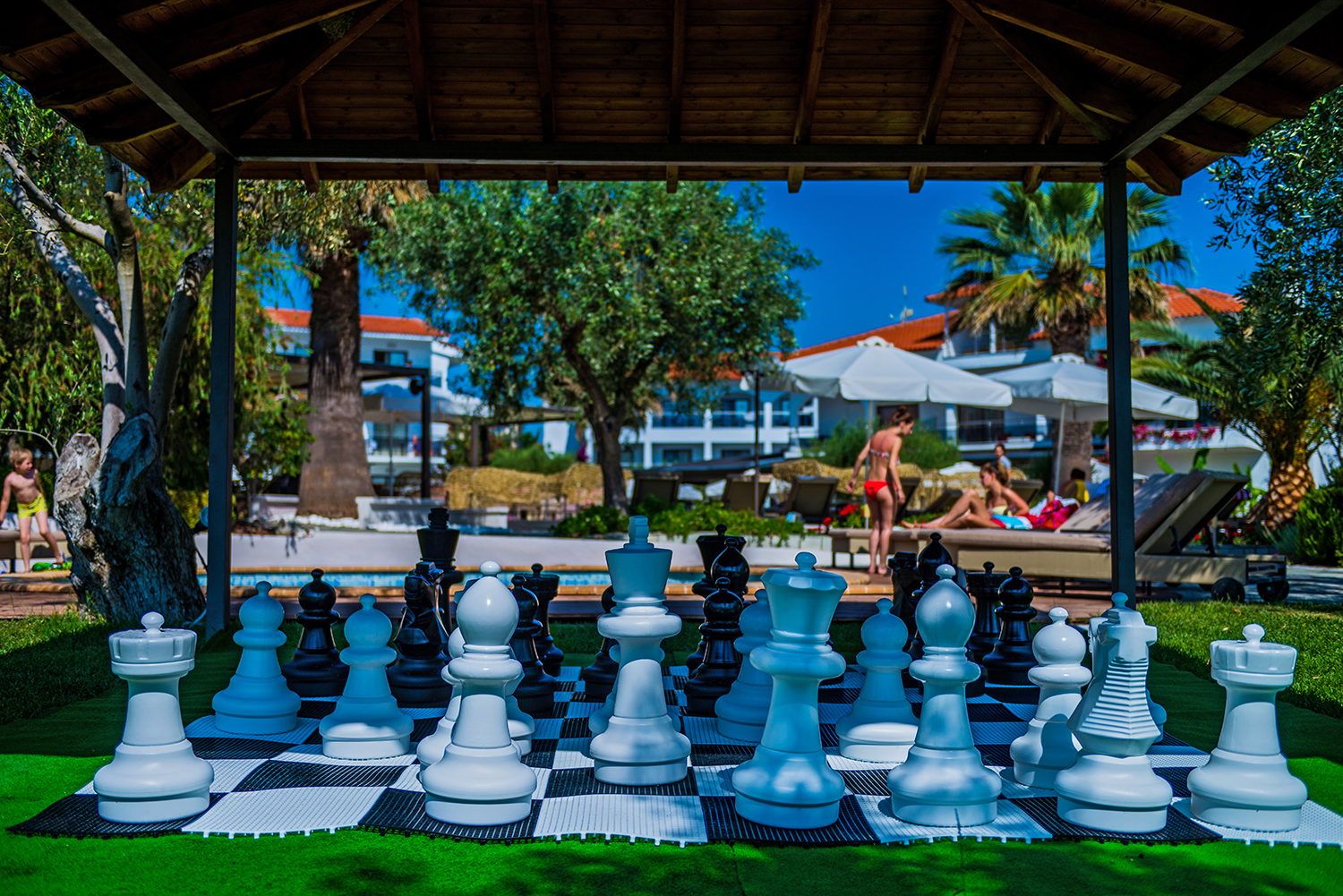 Sports and Entertainment