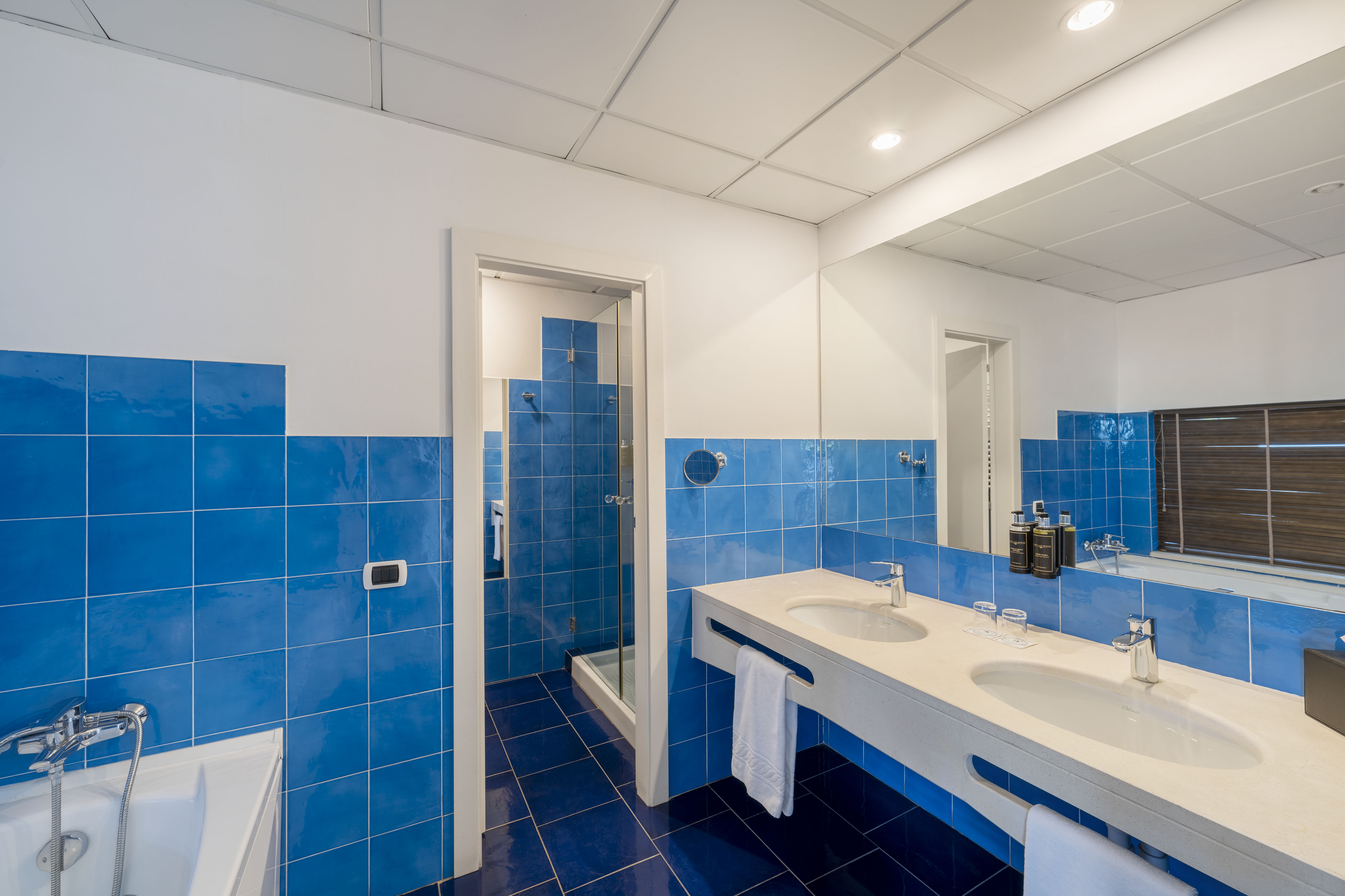 Junior Suite with Terrace