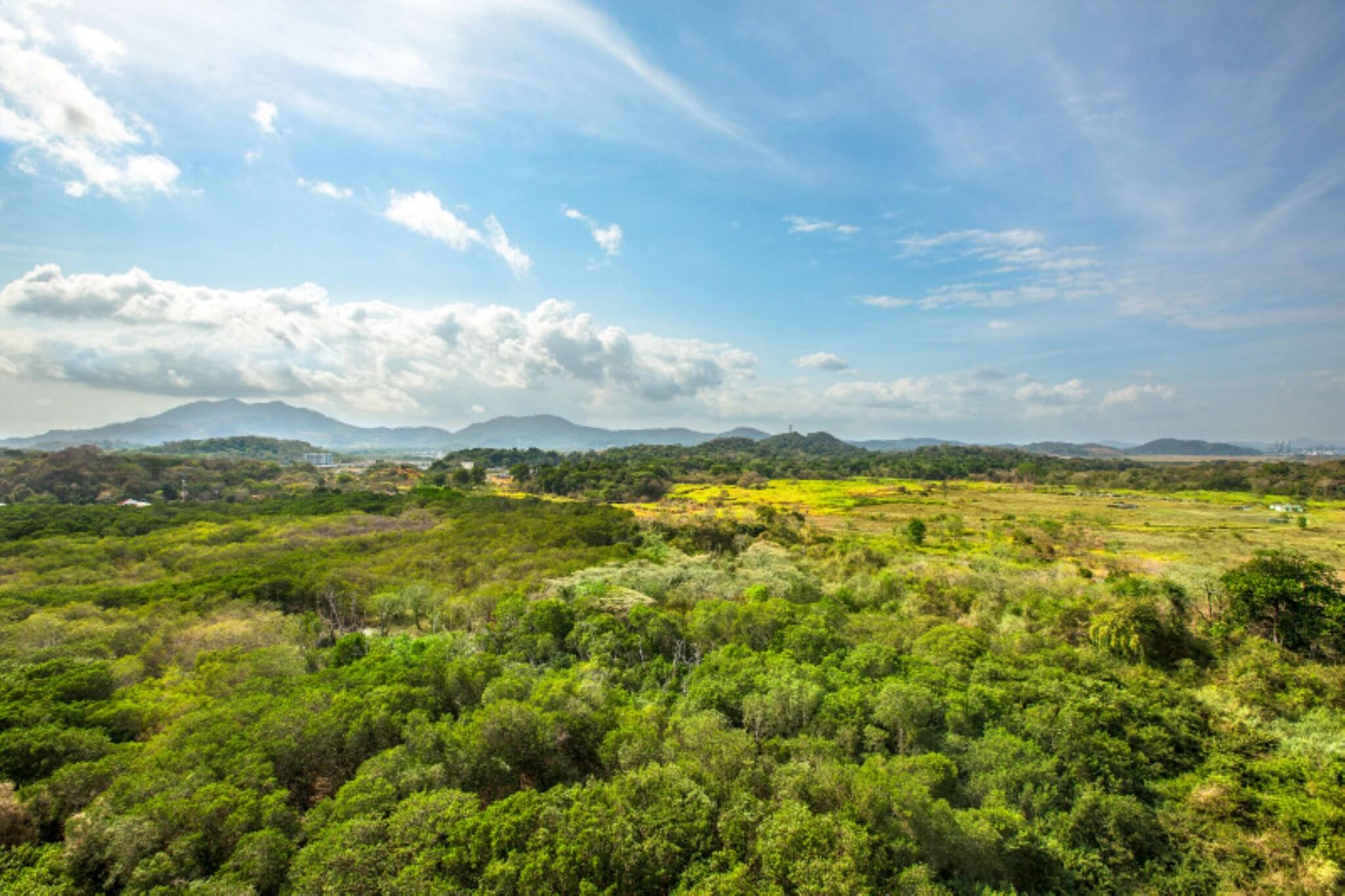 Quadruple Premium with Views