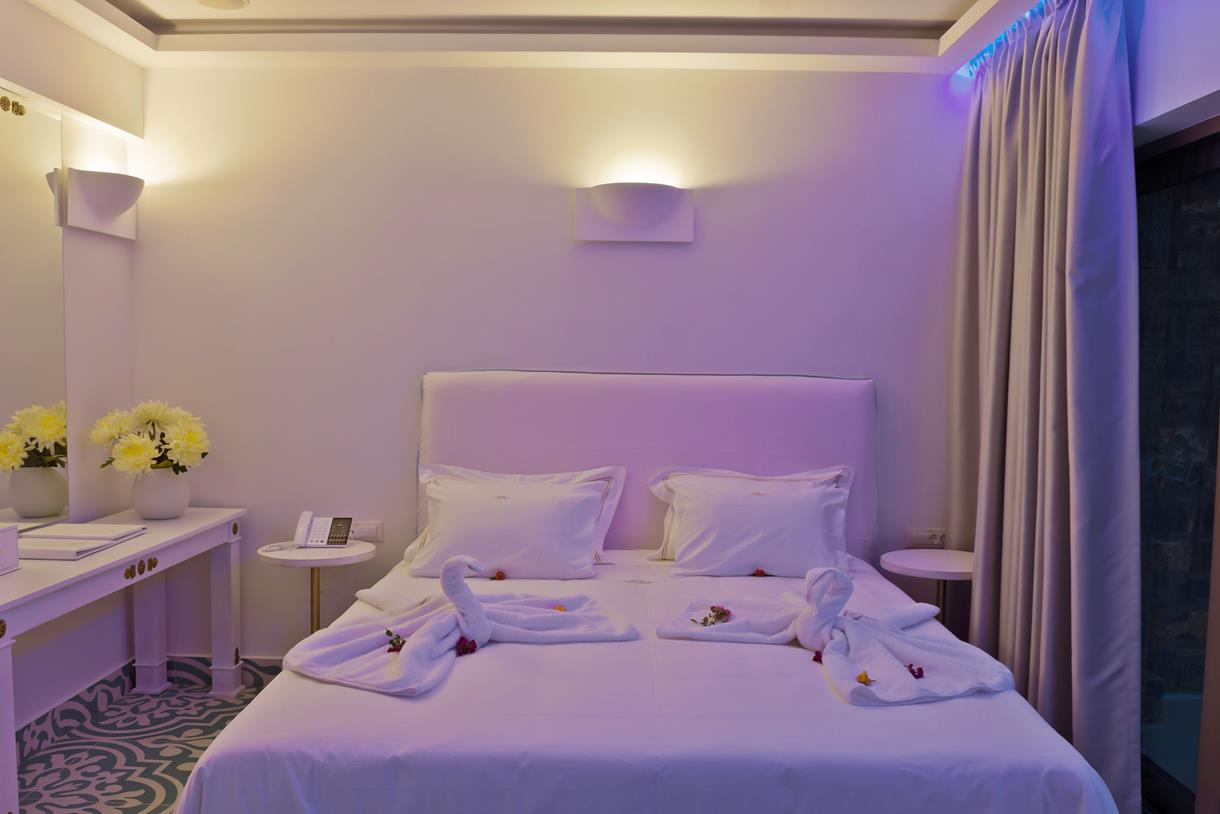 Double or Twin Superior