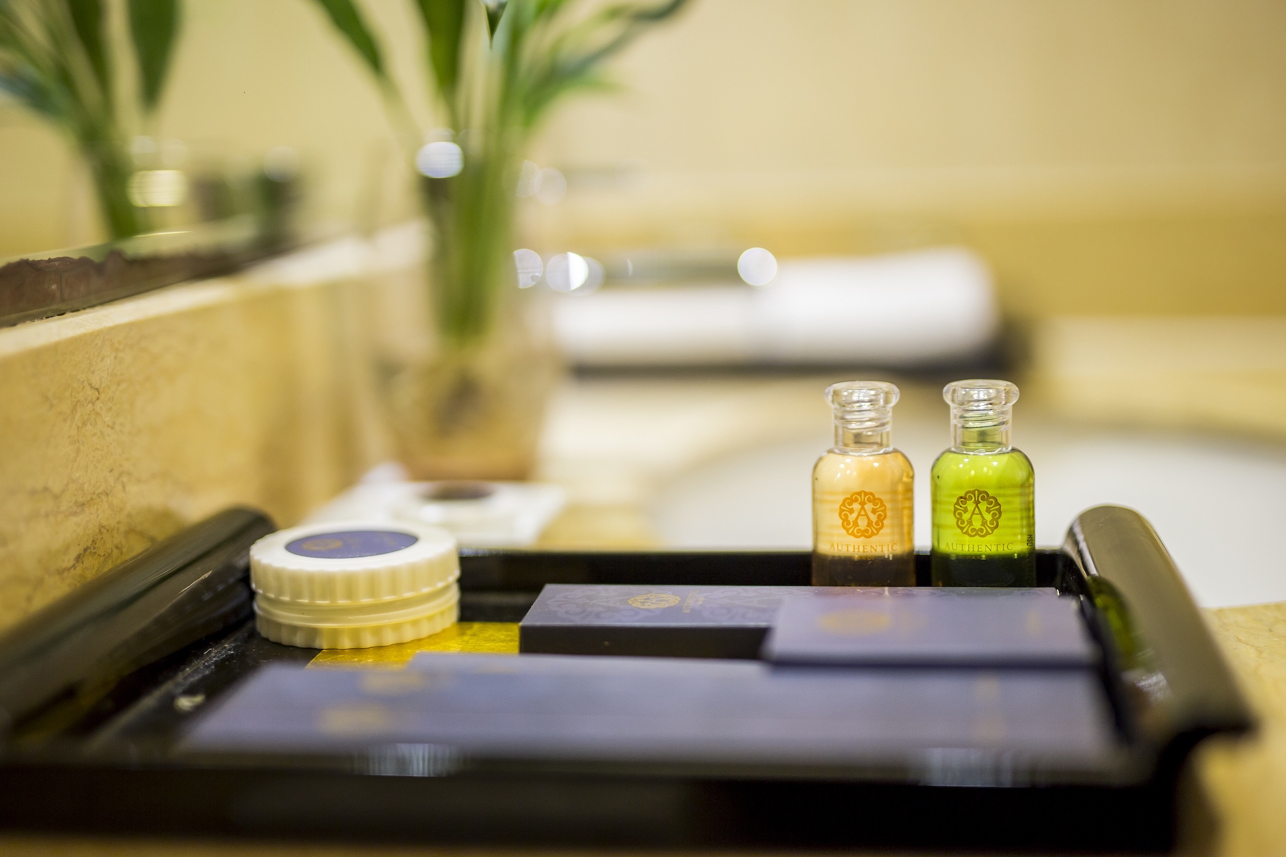 Double or Twin Deluxe