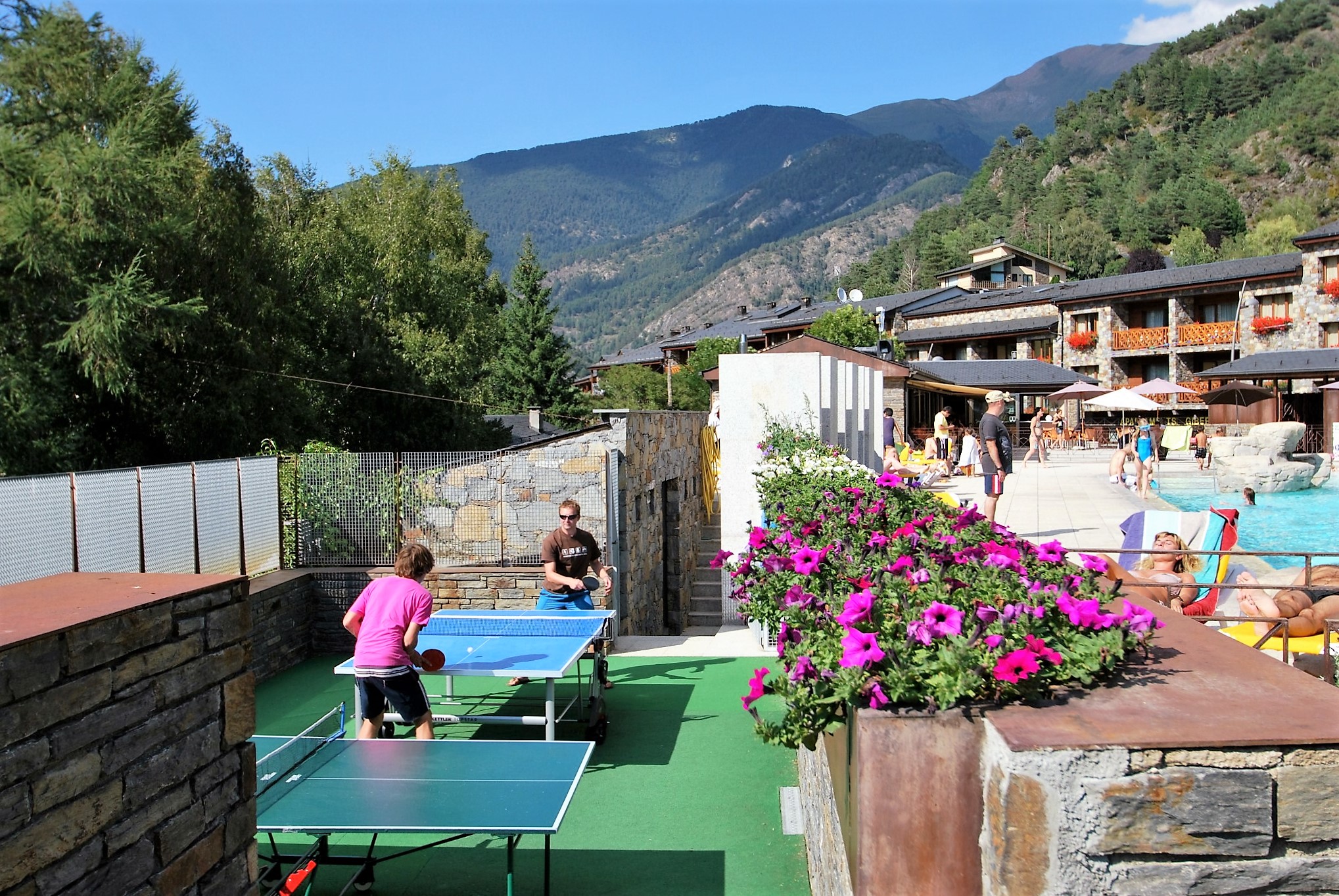 Sports and Entertainment