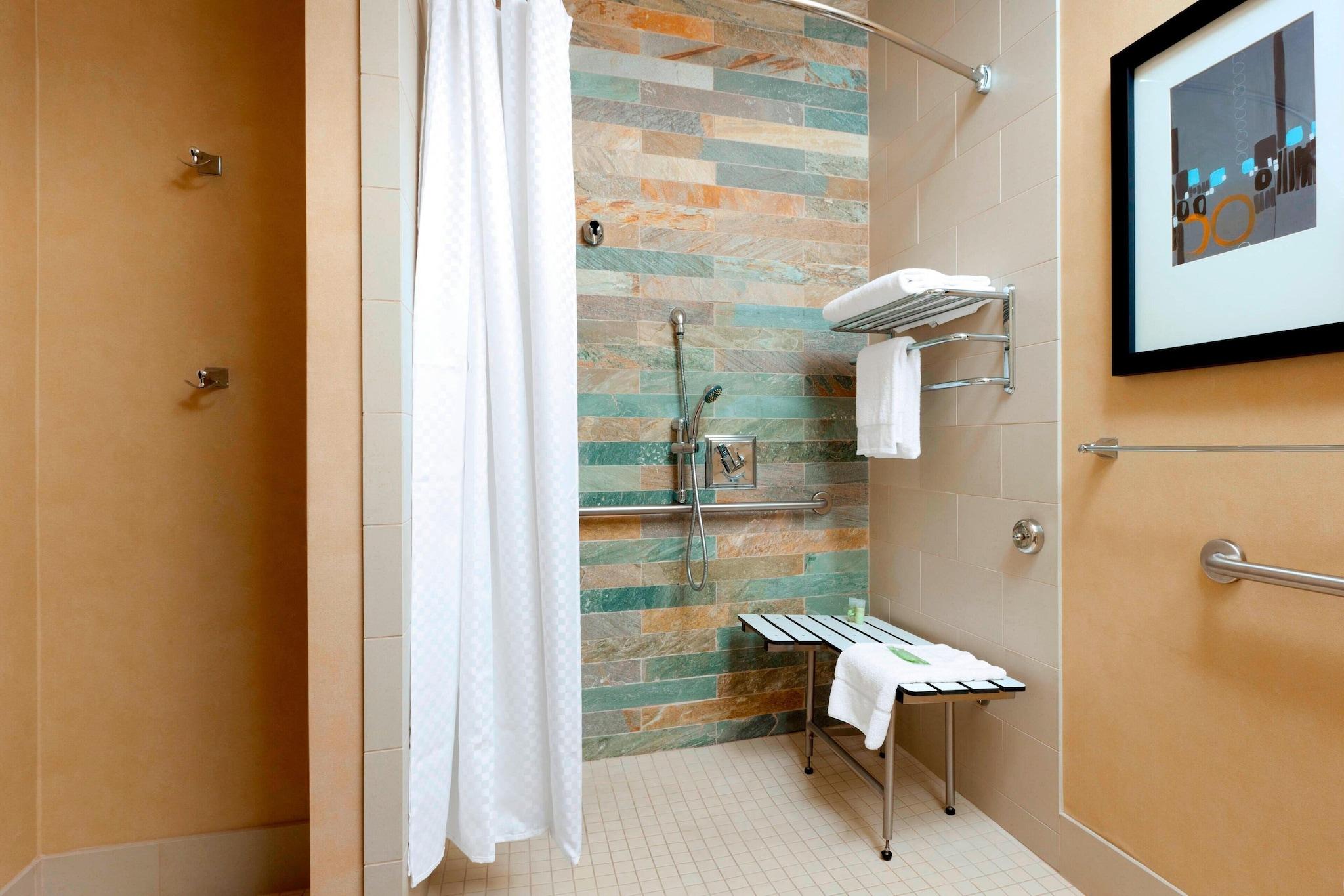 Suite King Bed One Bedroom 