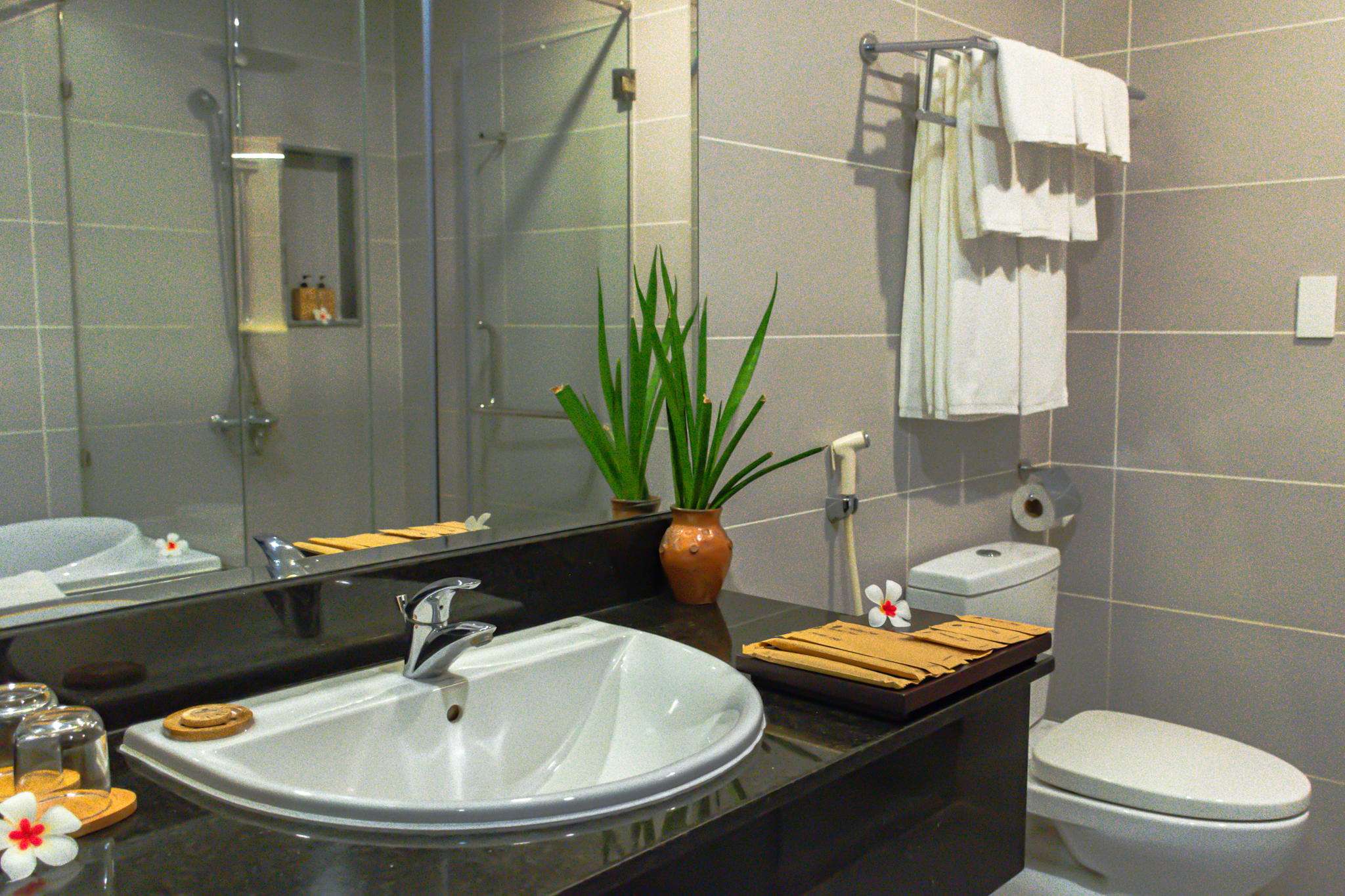 Family Room Resort View