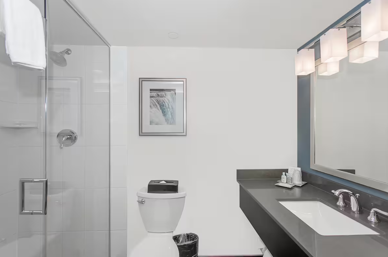 Suite Premium King Bed