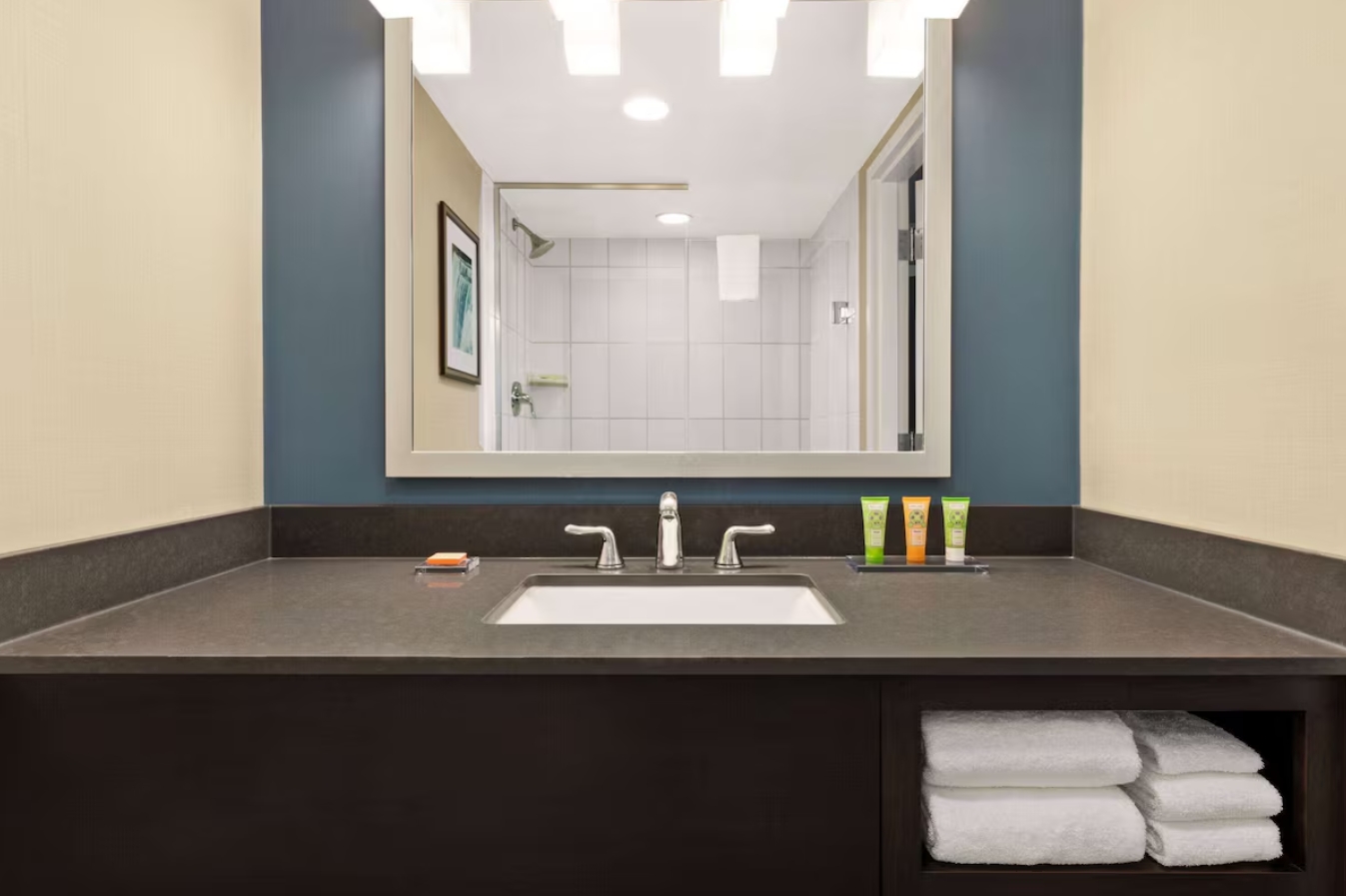 Suite Premium King Bed