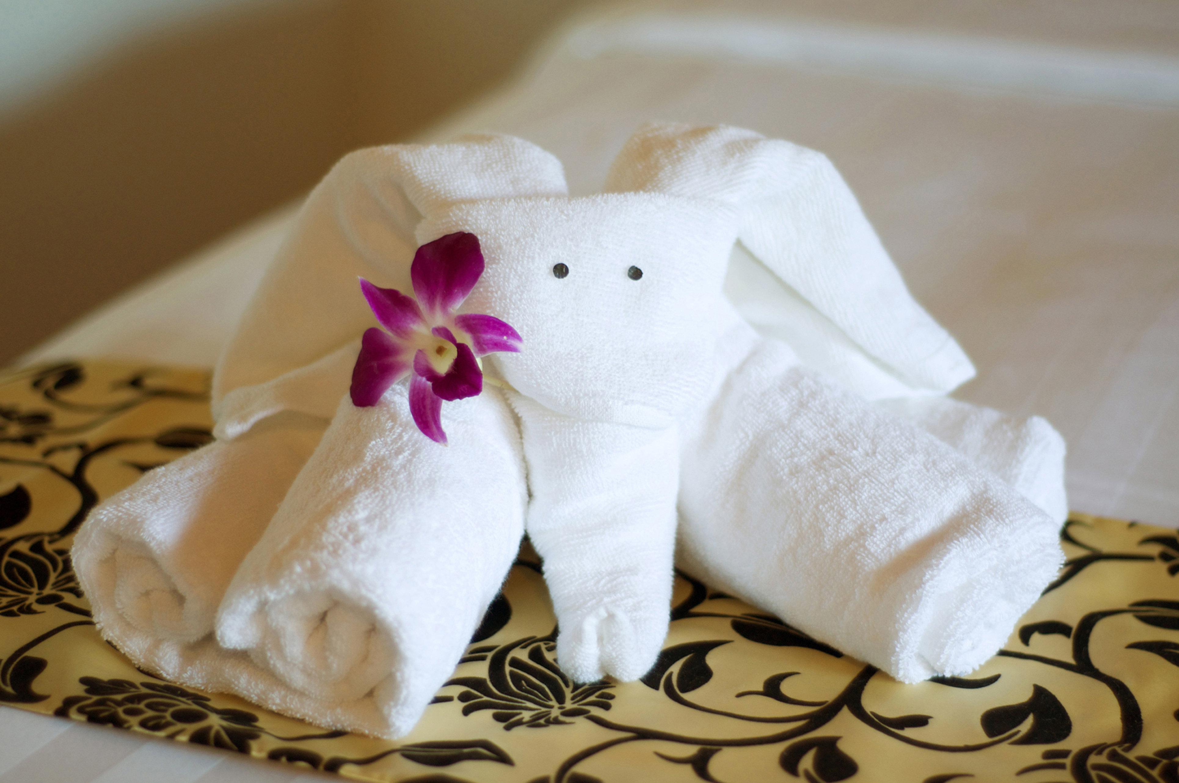 Twin Deluxe River View