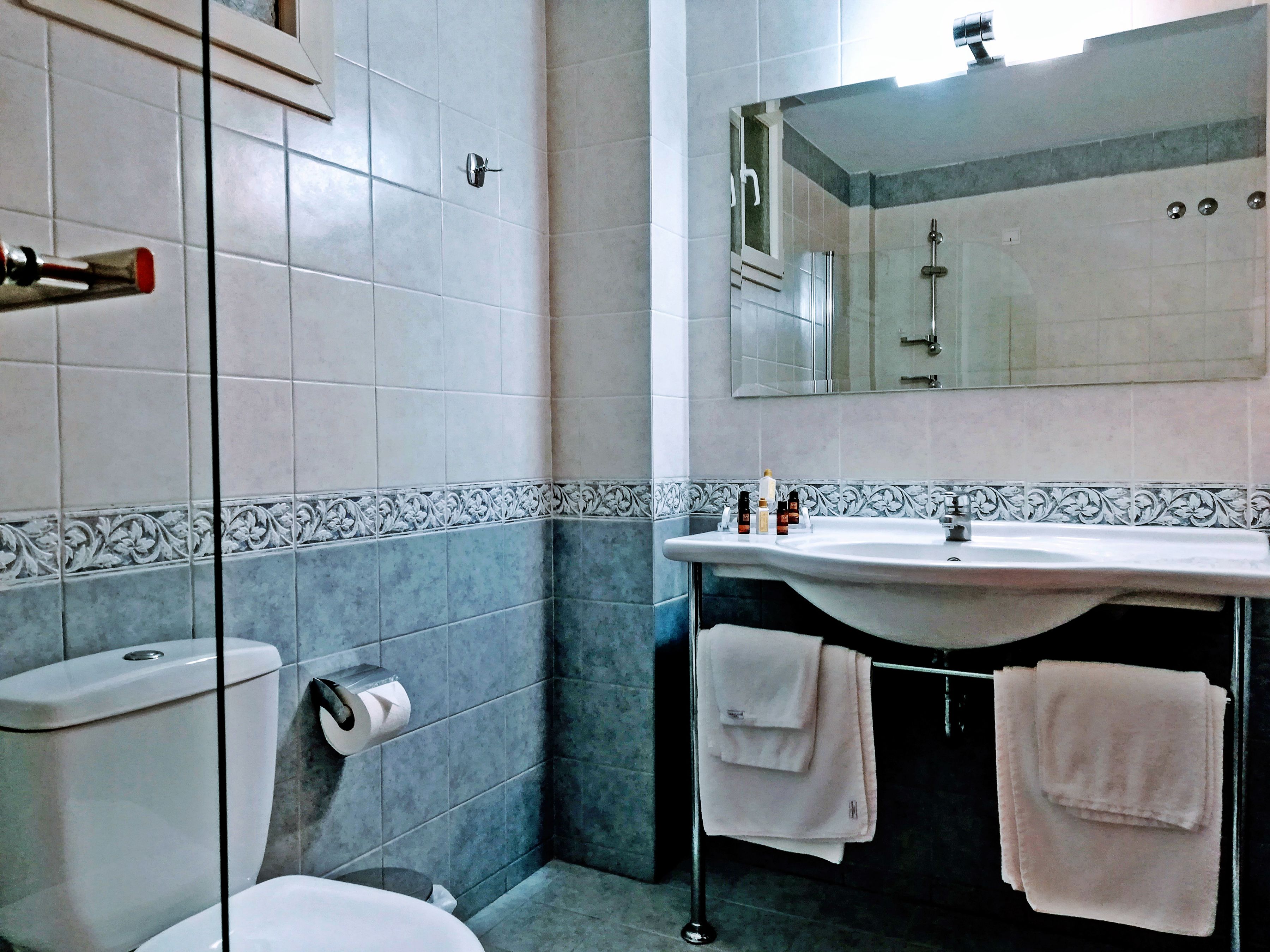 Double or Twin Economy