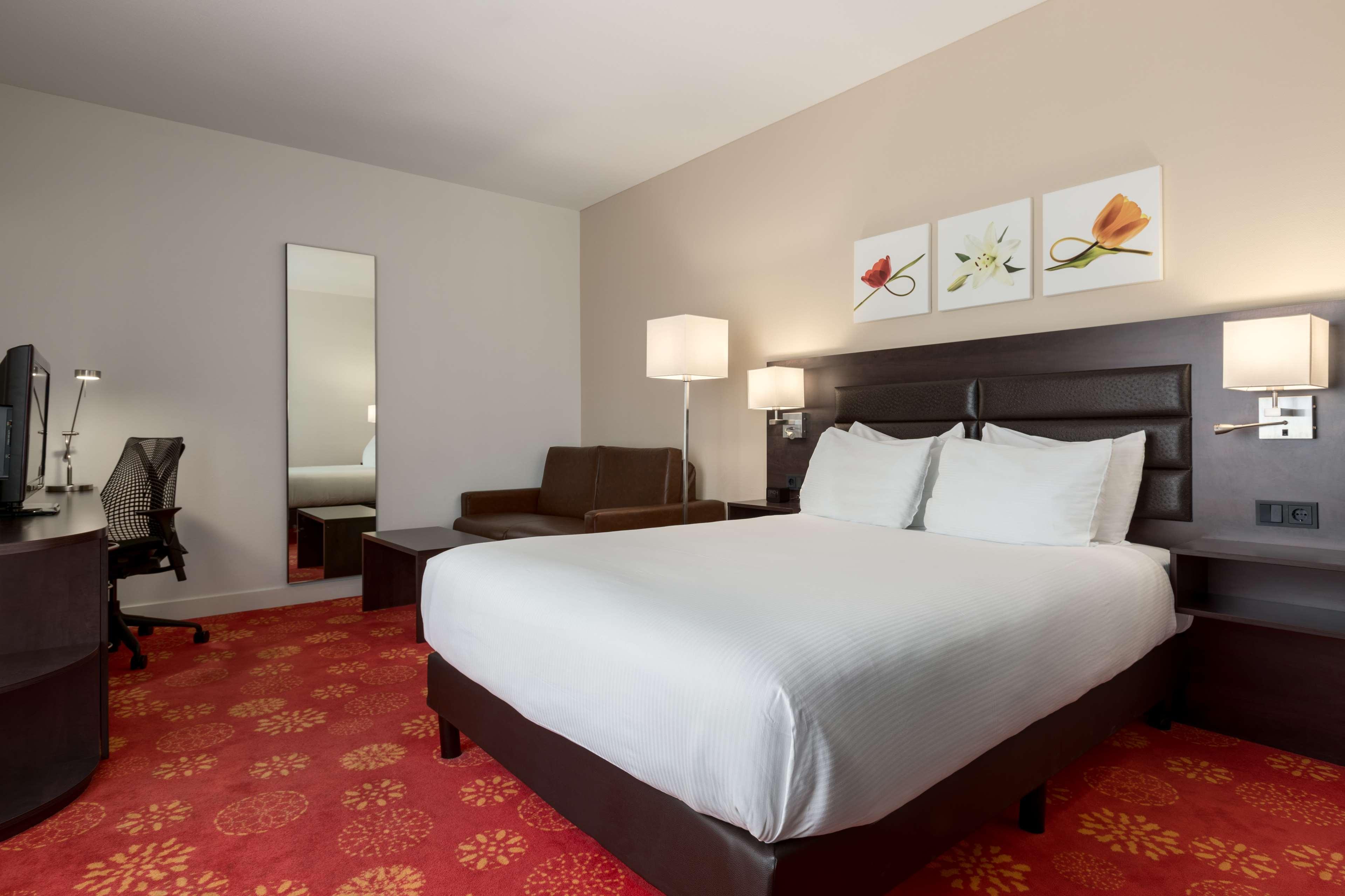 Family Room Queen Size Bed