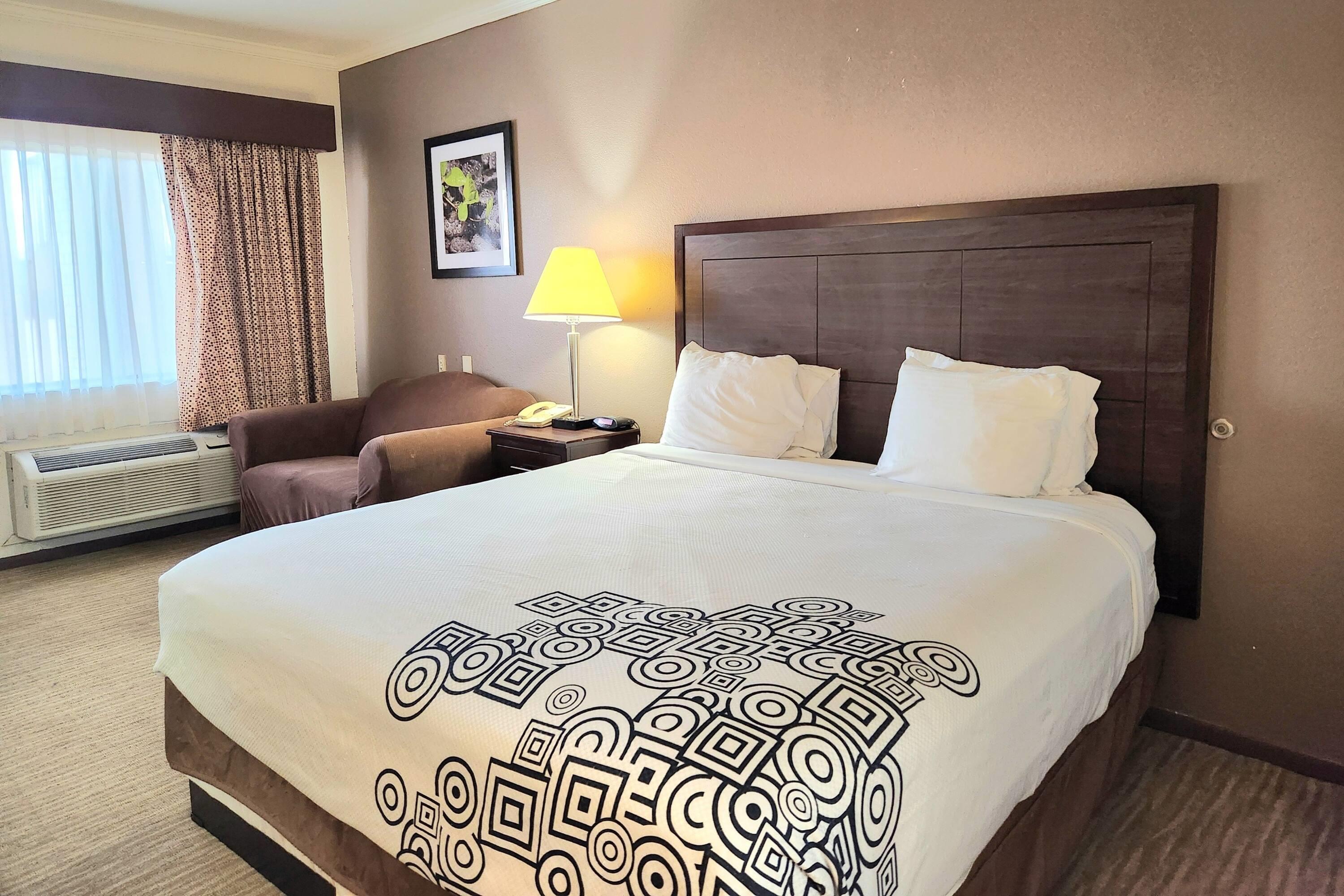 Room Accessible King Size Bed