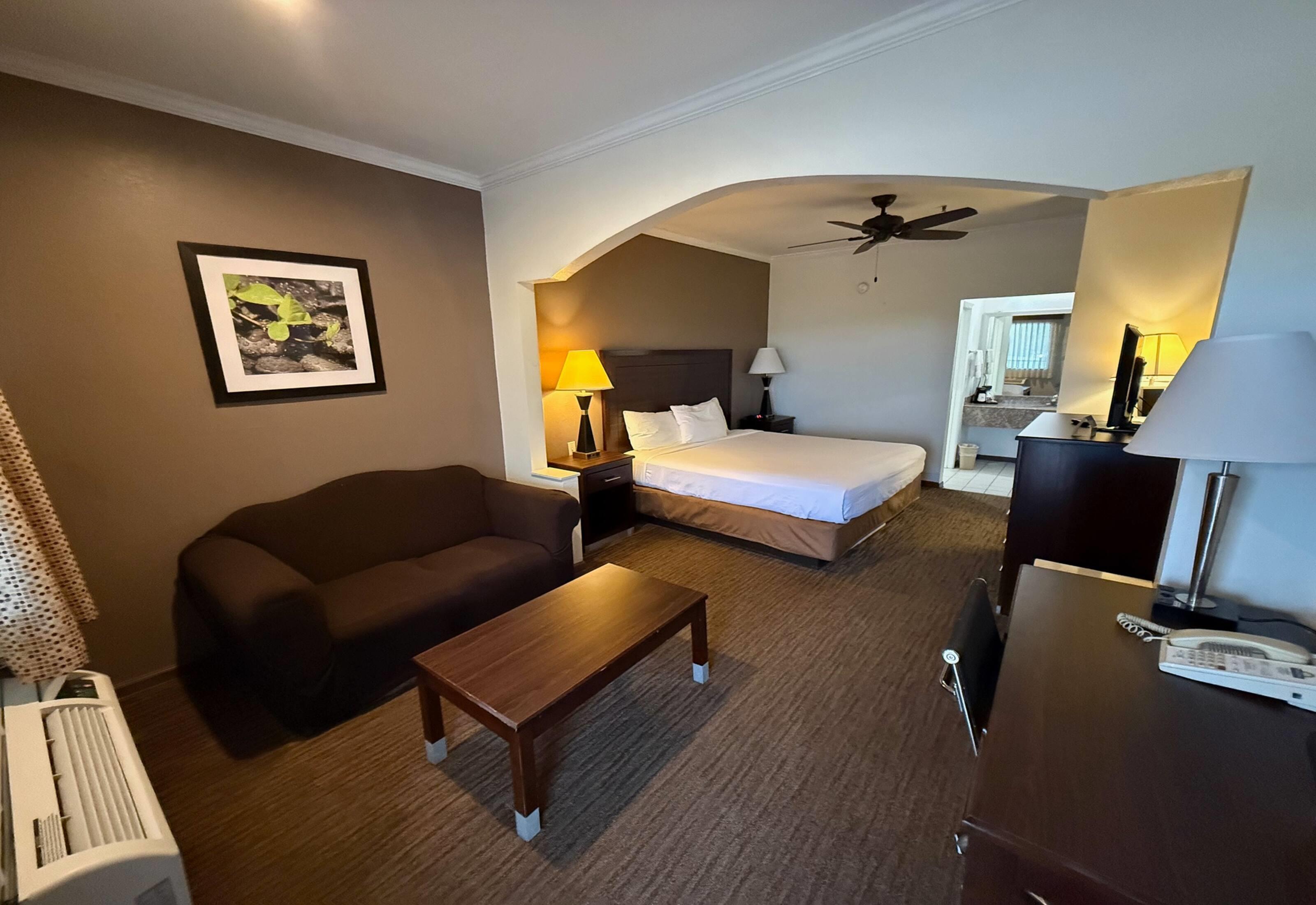 Suite King Bed Non Smoking