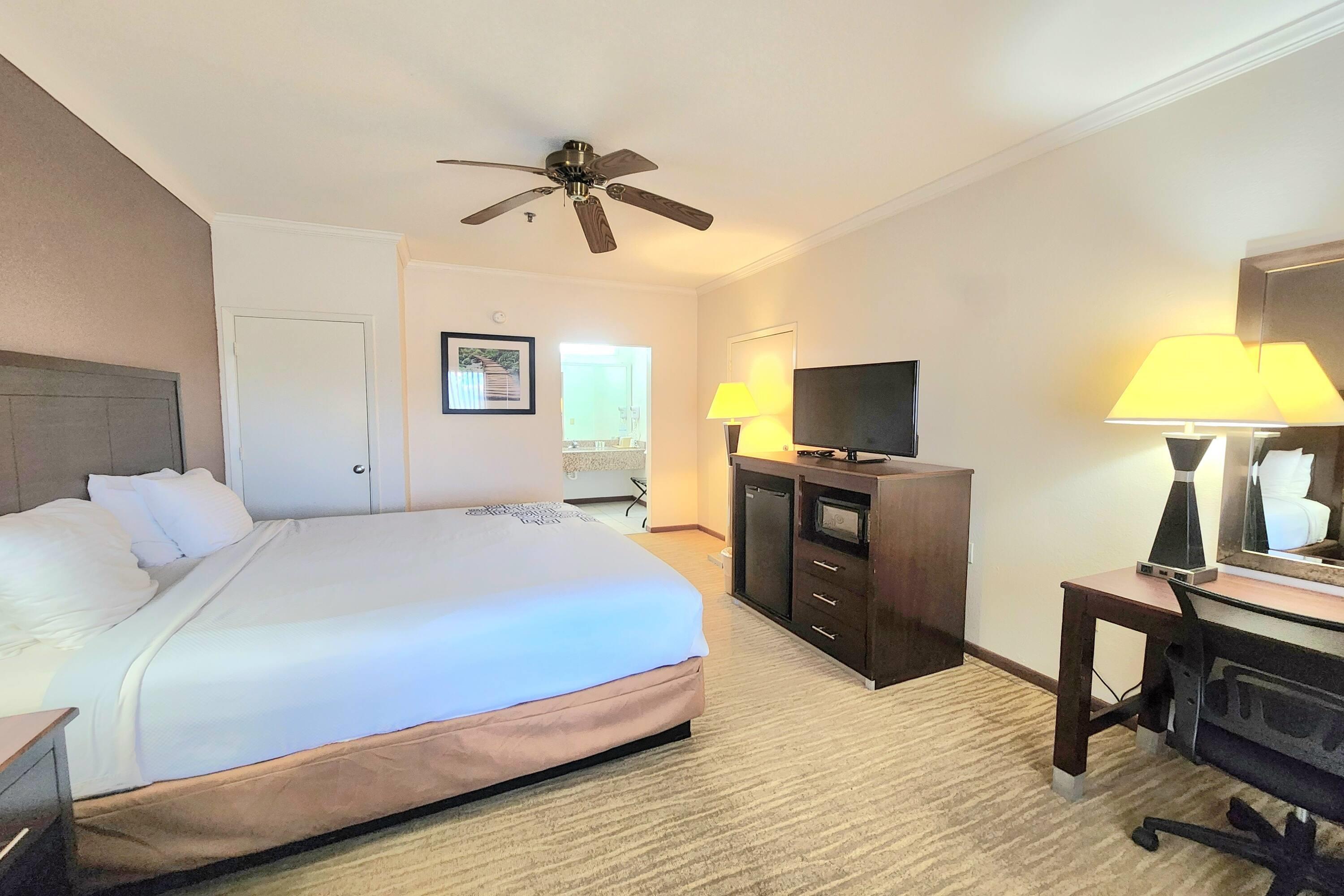 Suite King Bed Non Smoking