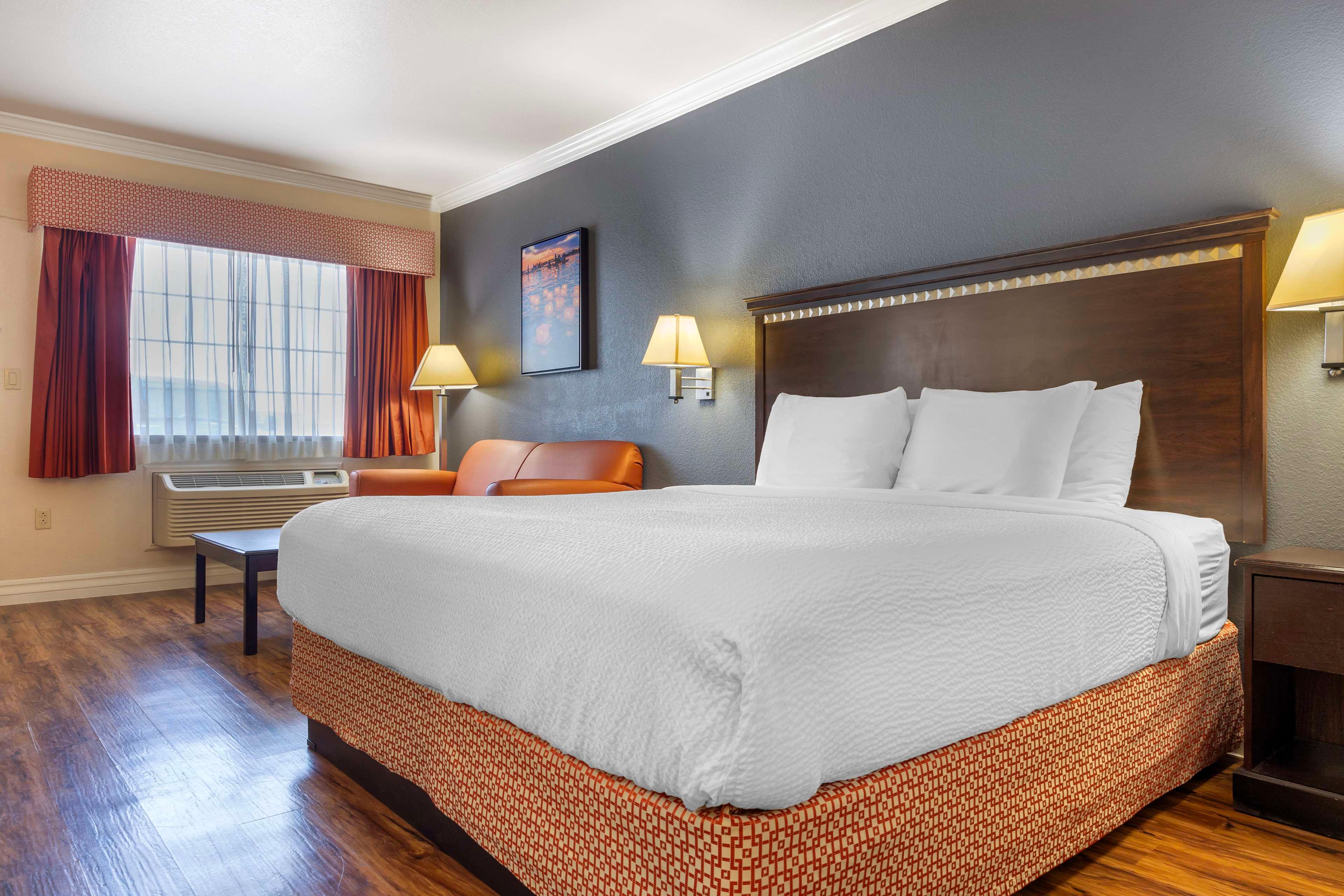 Room King Bed Non Smoking