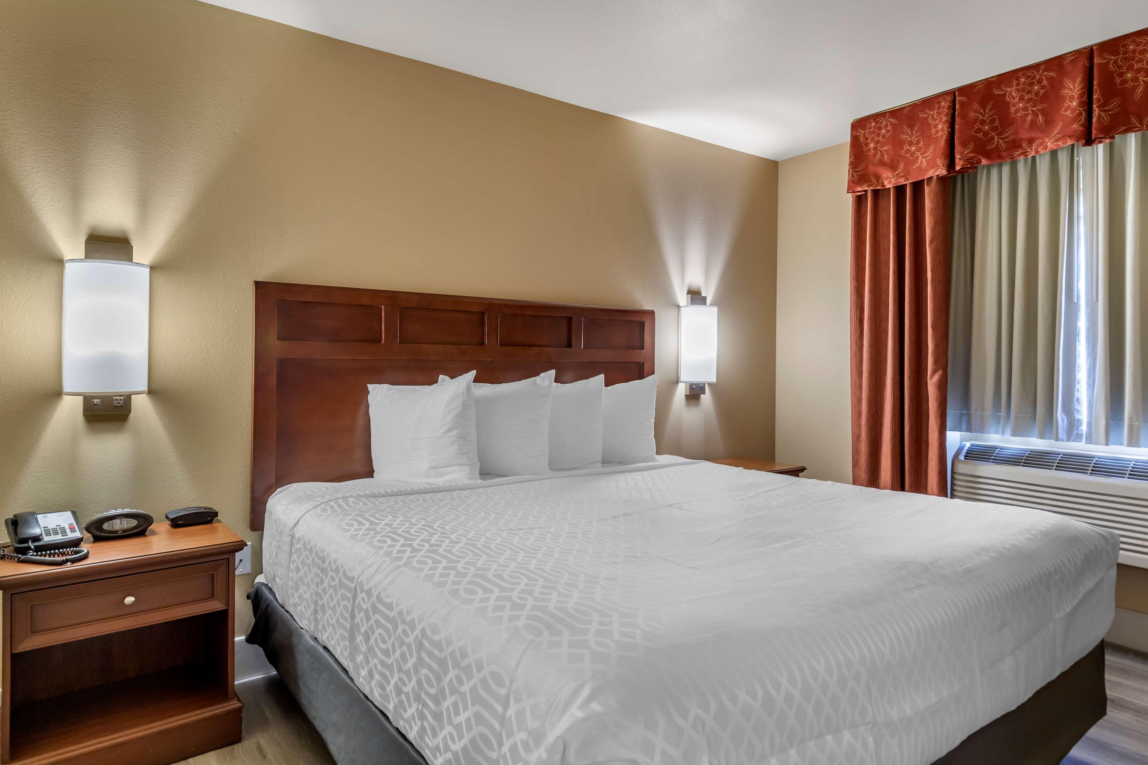 Suite Accessible King Size Bed