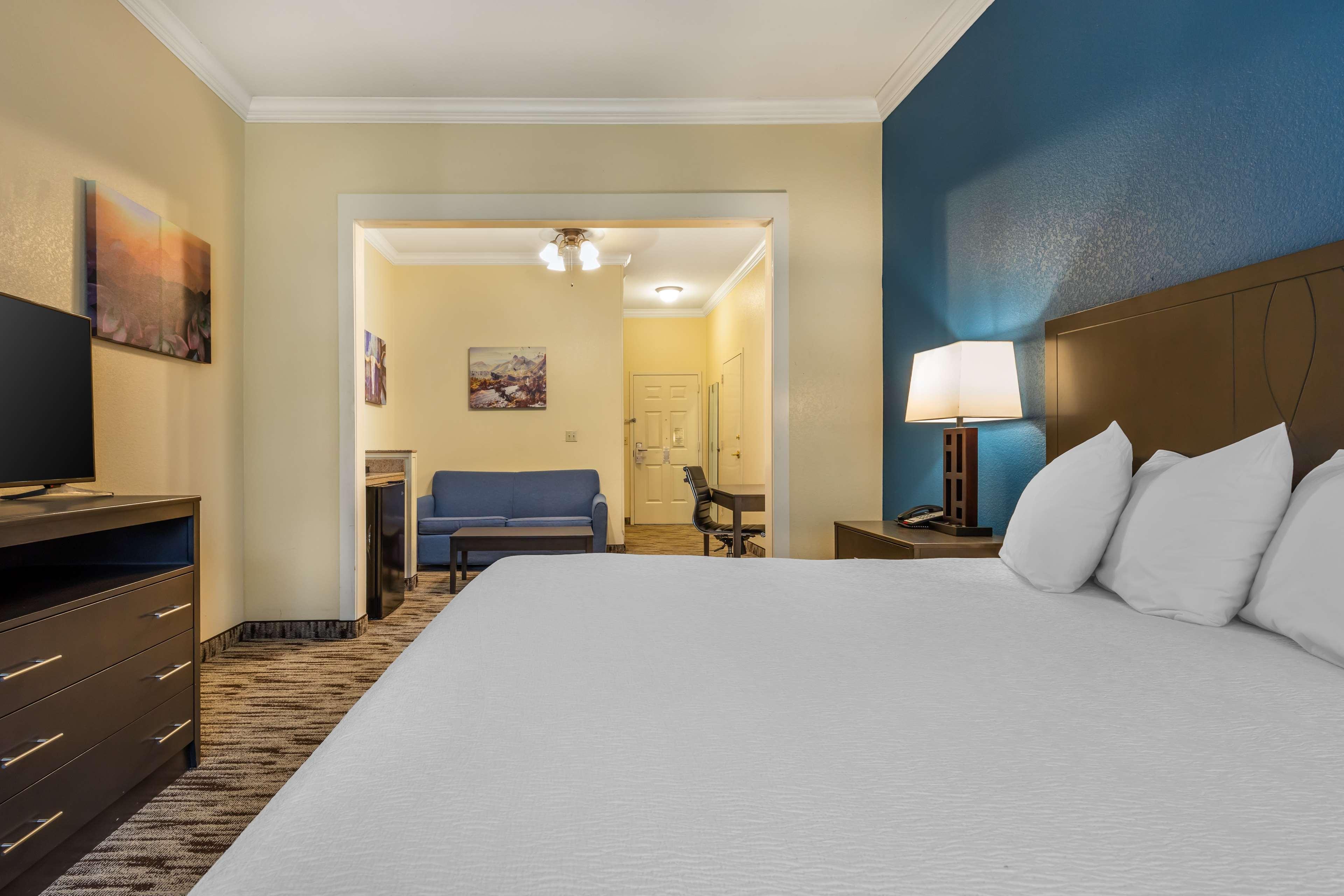 Suite King Bed Non Smoking