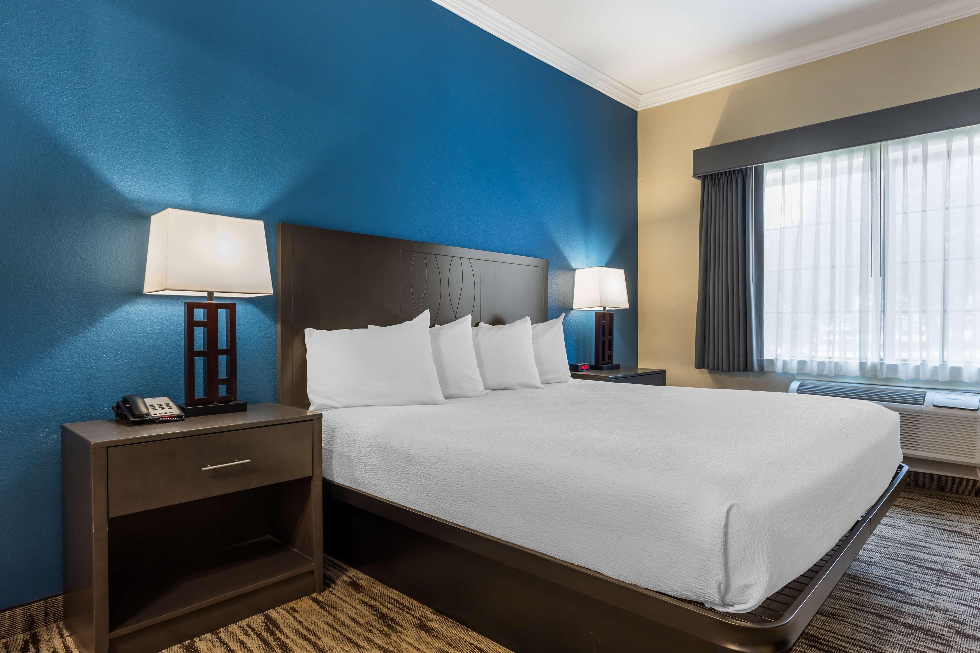 Suite King Bed Non Smoking