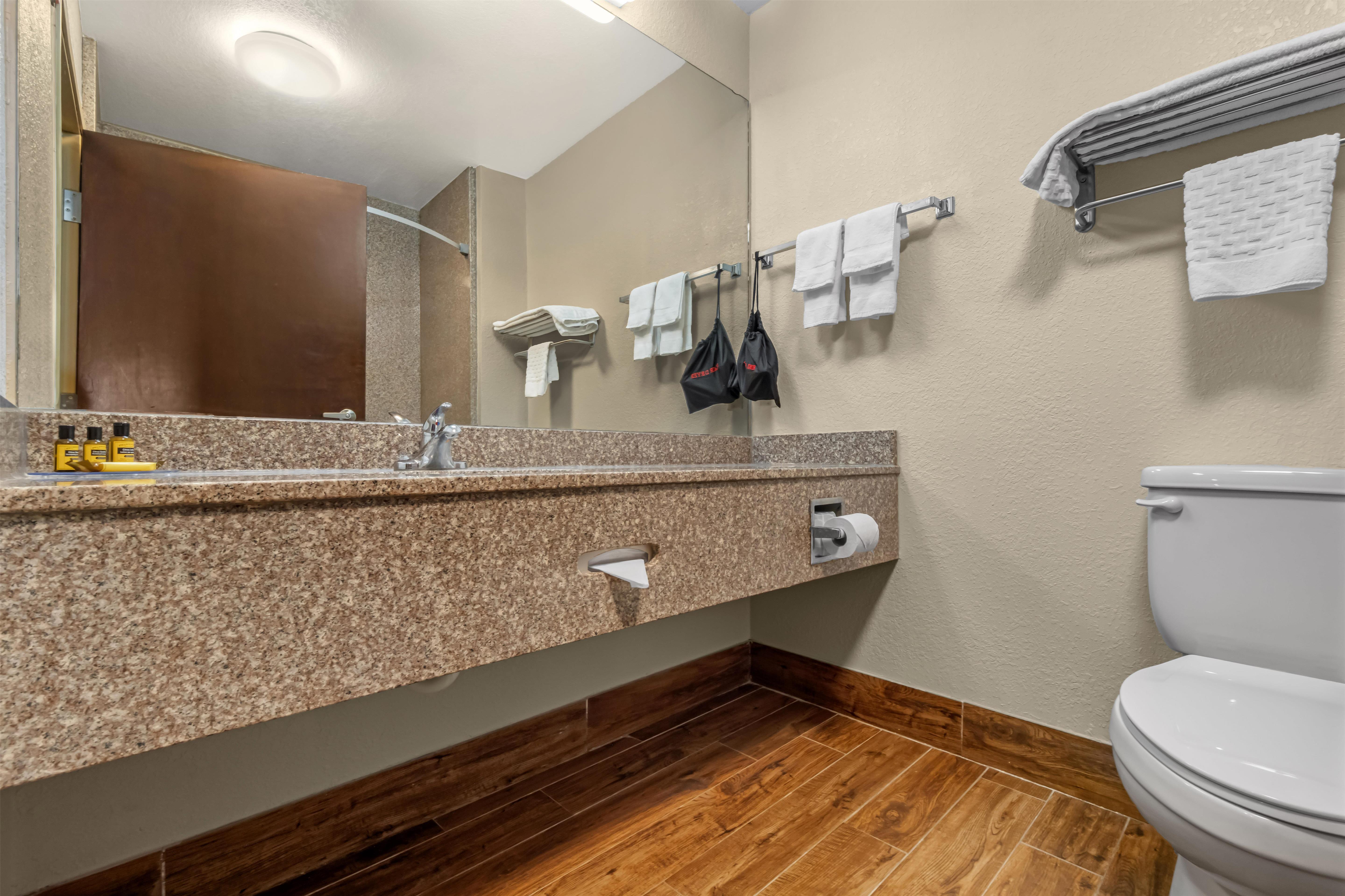 Suite King Bed Non Smoking