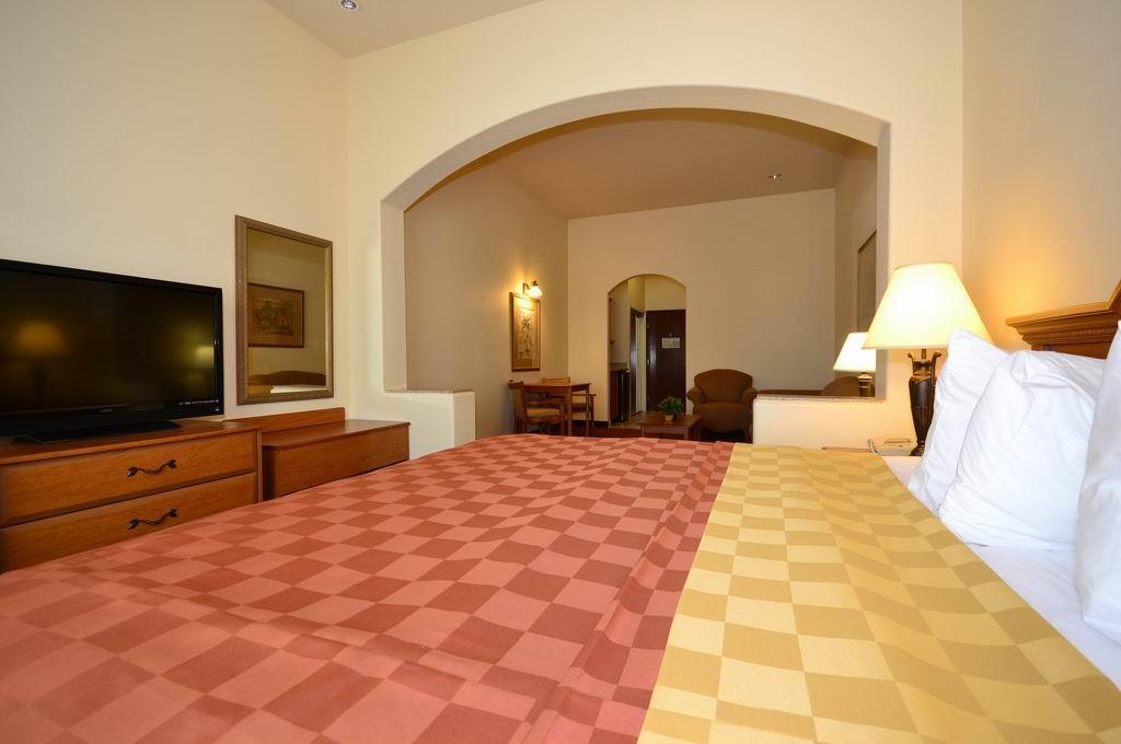 Suite King Bed Non Smoking