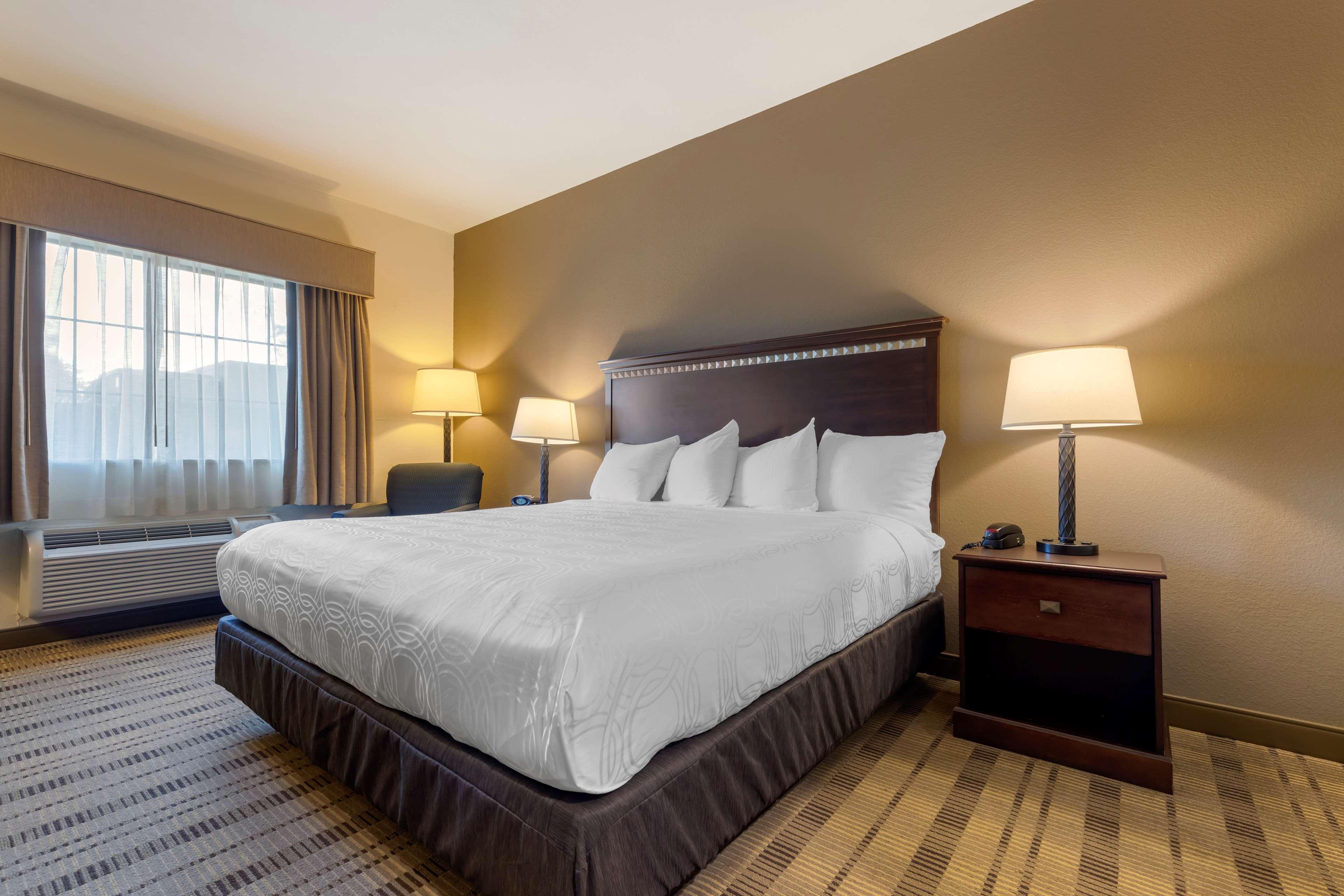 Room King Bed Non Smoking