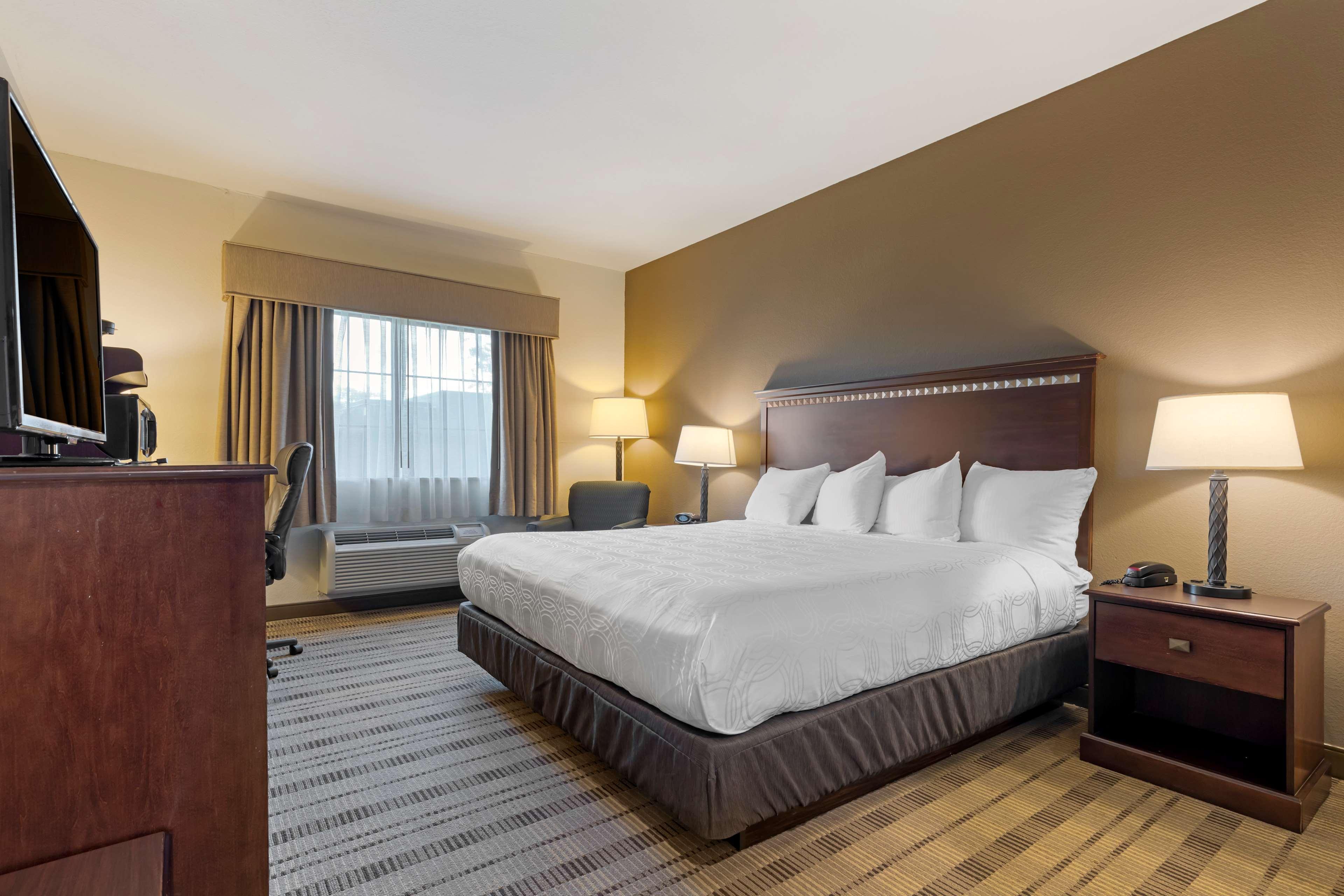 Room King Bed Non Smoking