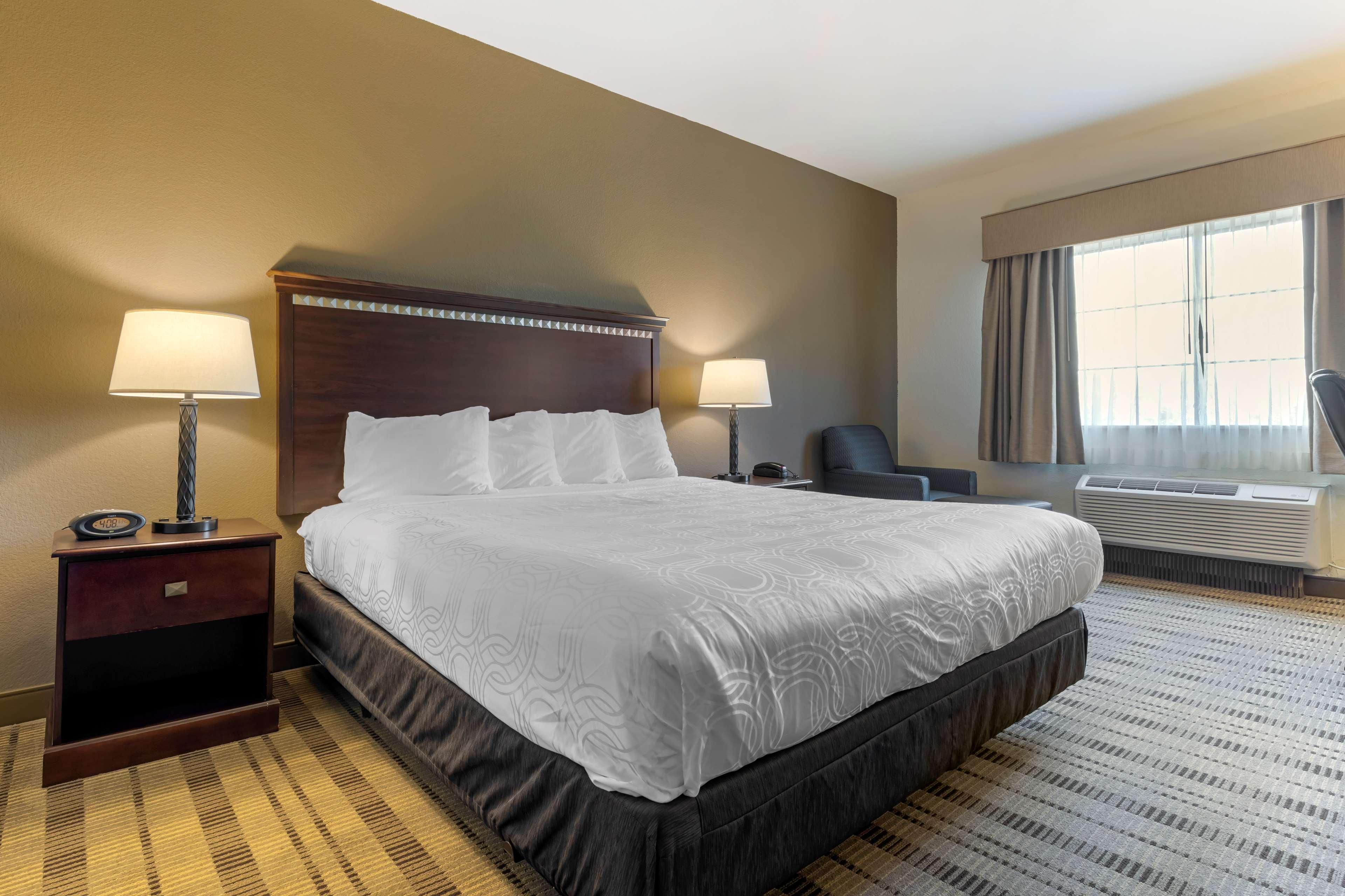 Room King Bed Non Smoking