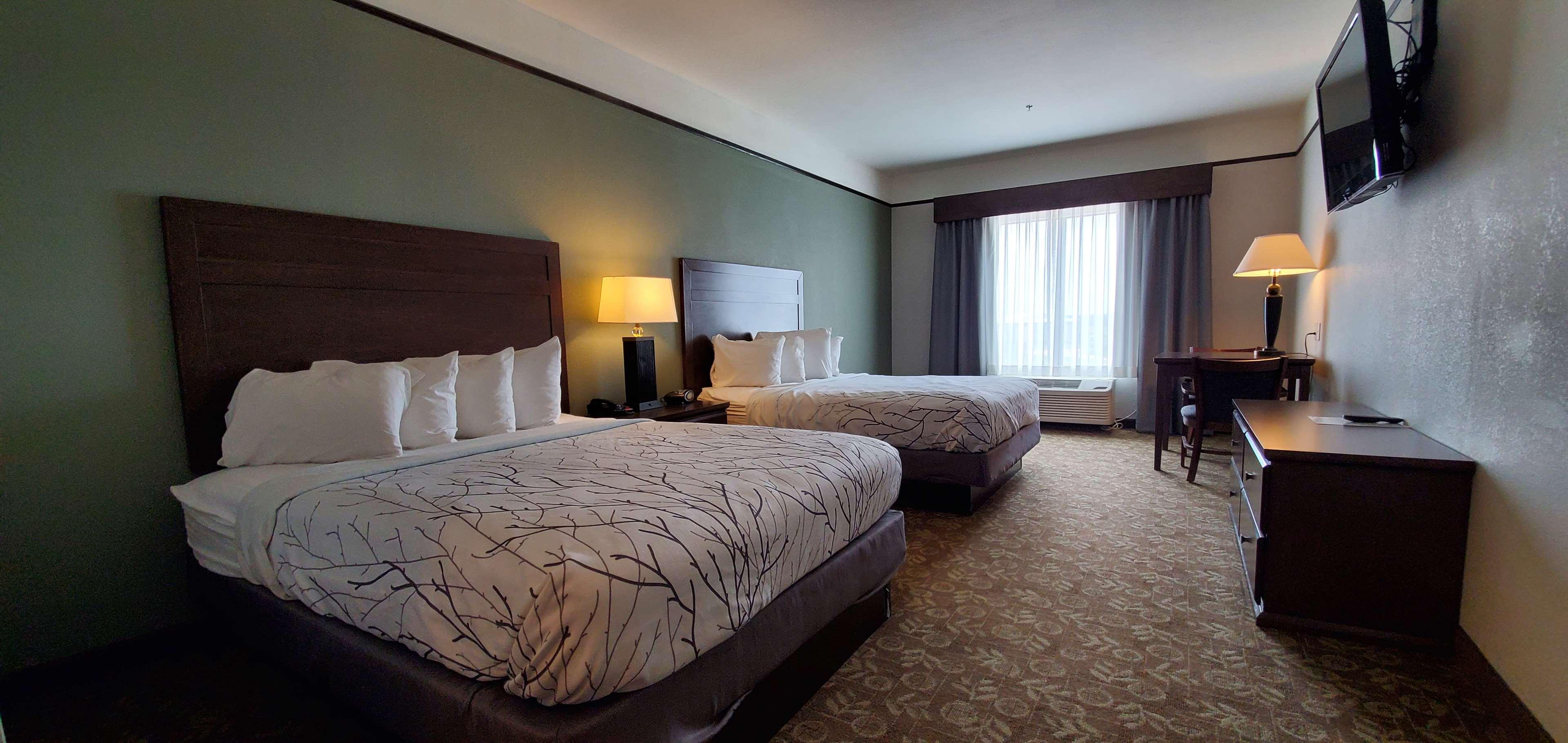 Room Accessible-two Queen Beds