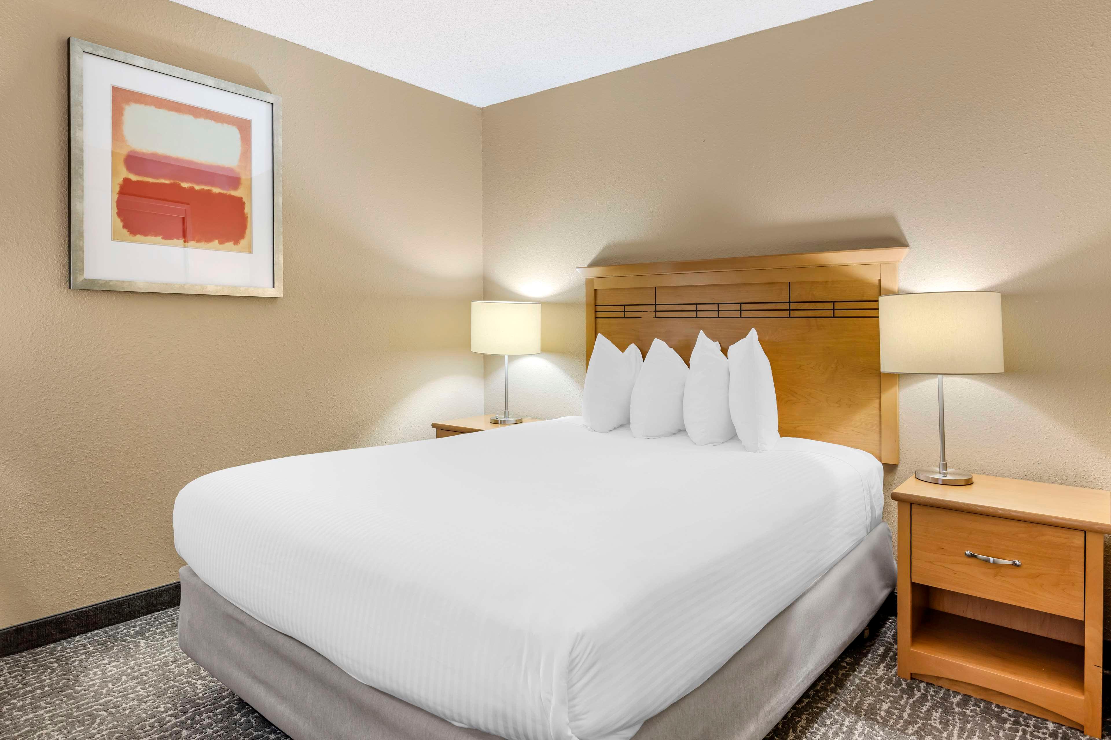 Suite Queen Size Bed